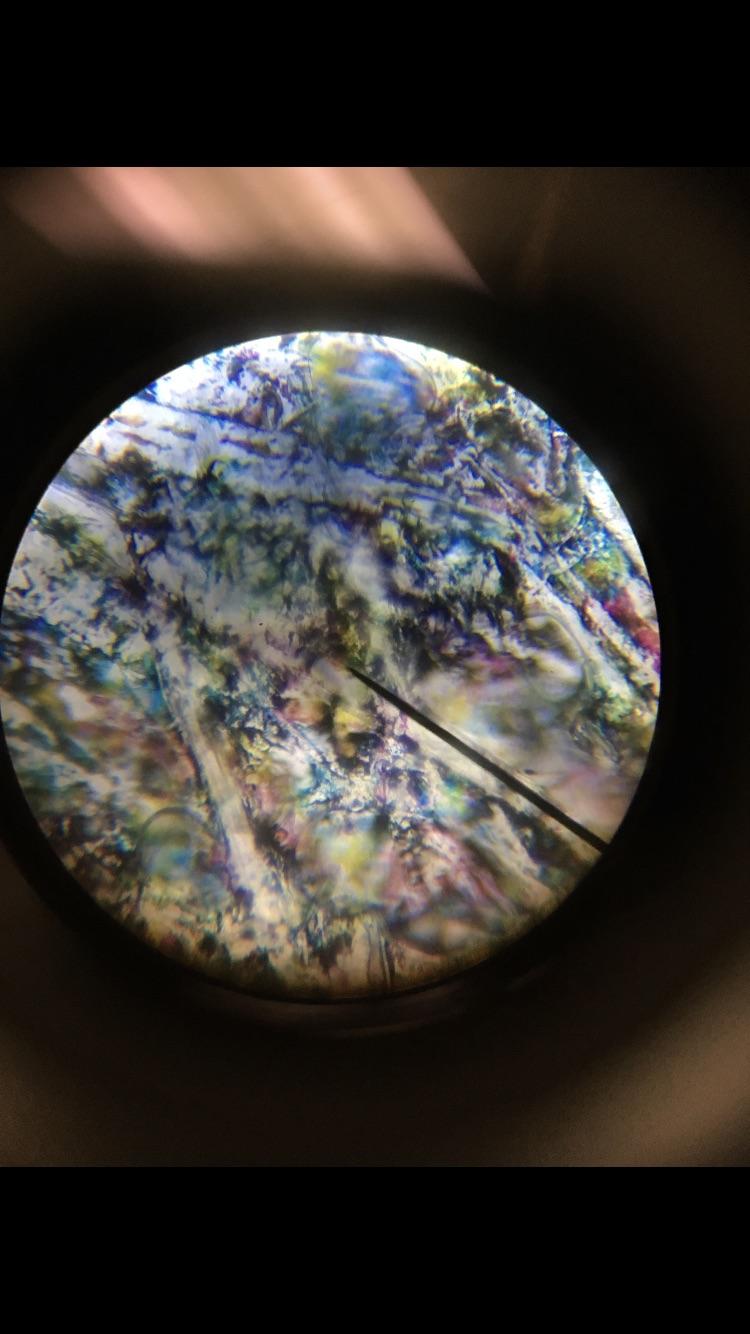 ITAP of a newspaper “e” under a microscope r/itookapicture