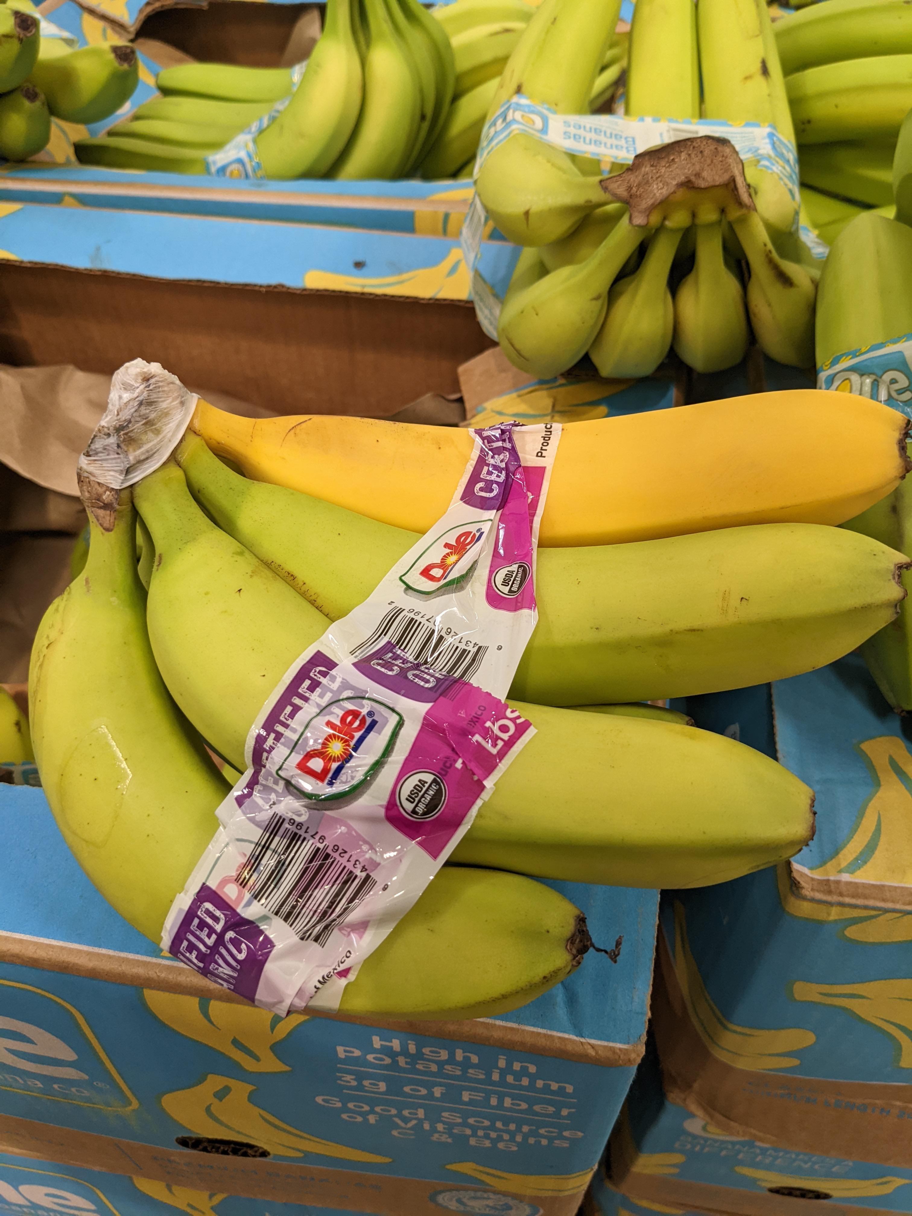 This bunch of bananas has a single yellow banana r/mildlyinteresting