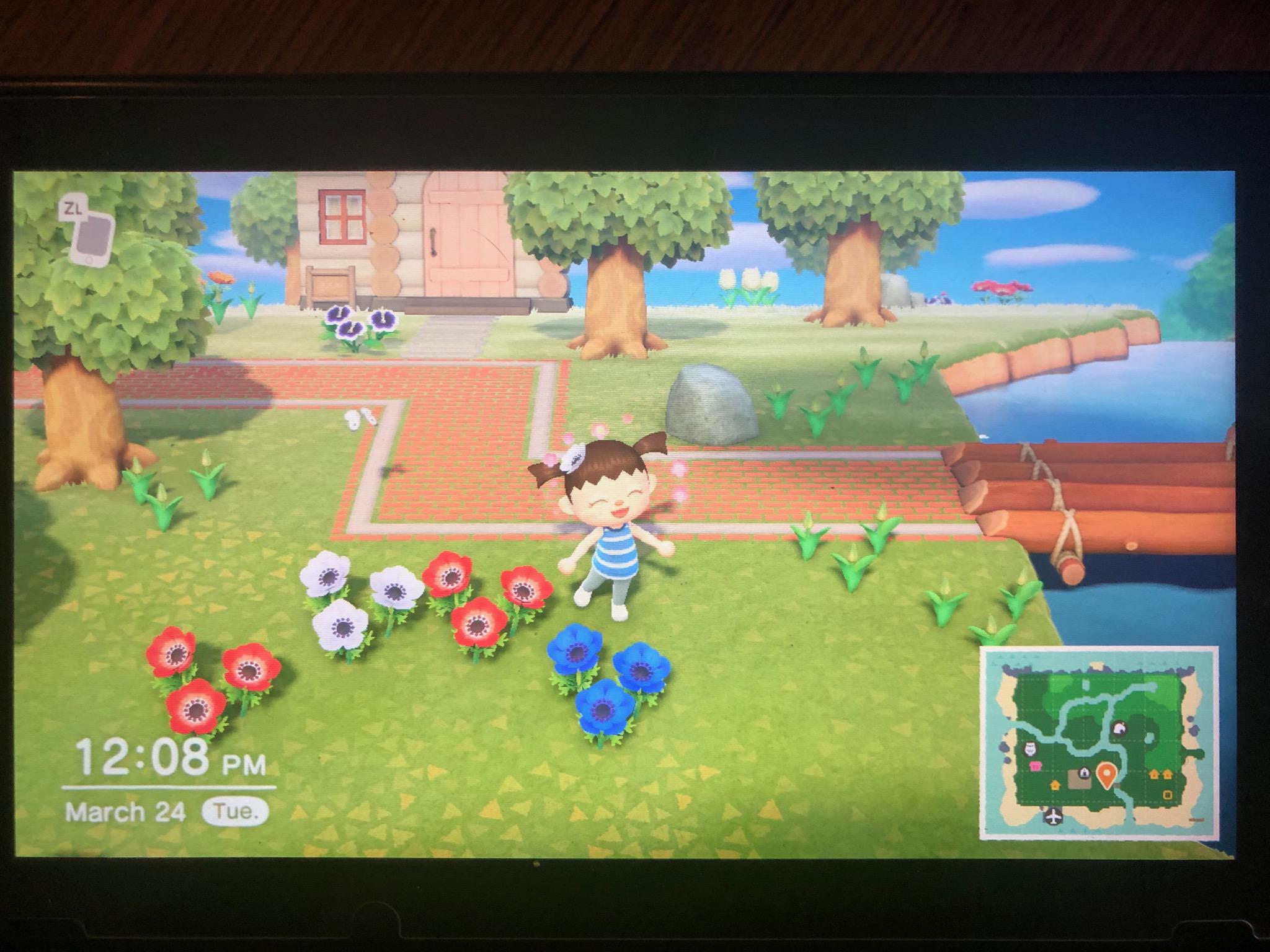 Does anybody know how to get Blue Windflowers? r/AnimalCrossing