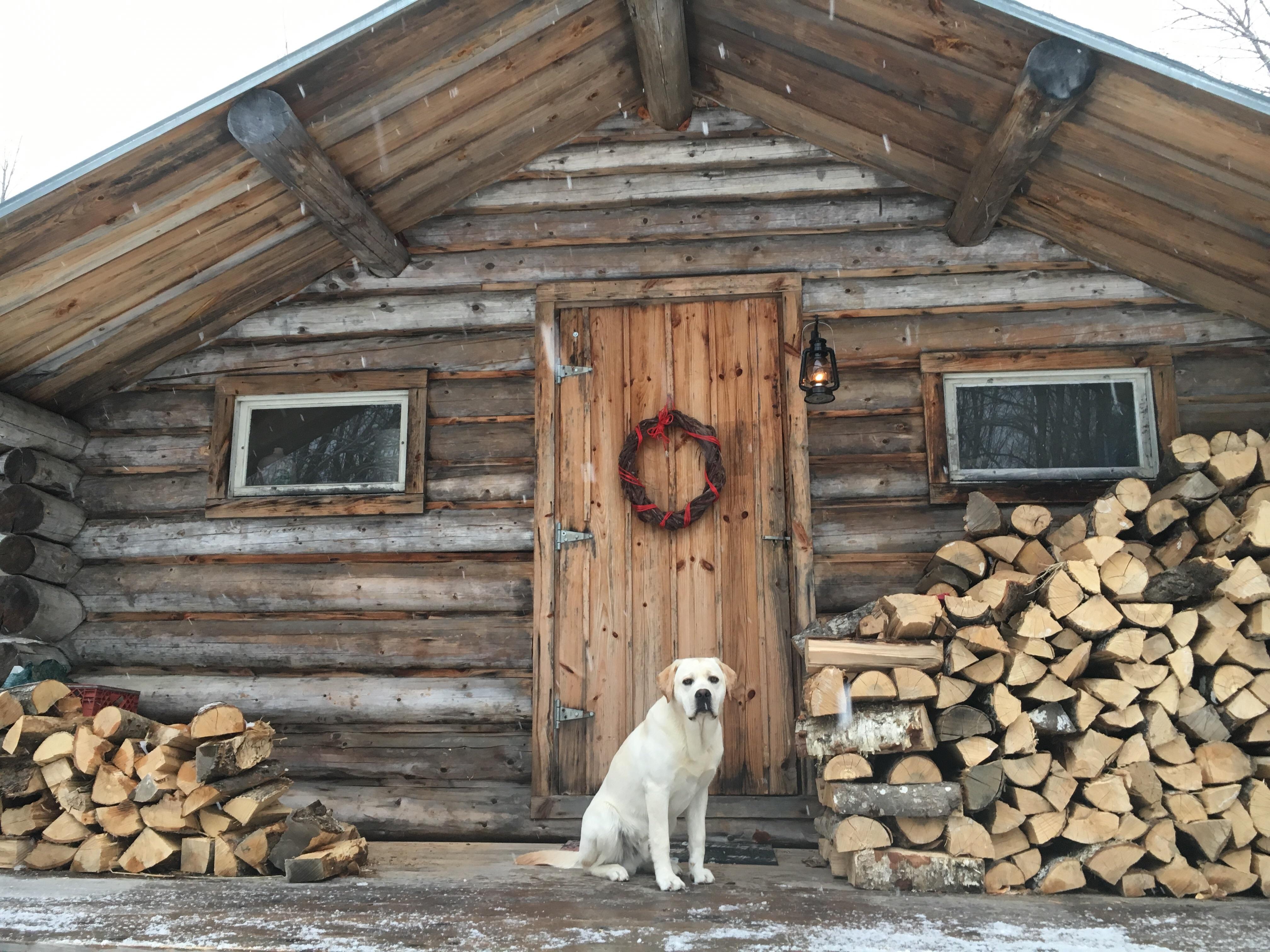 We only rented this cabin for the weekend, but our dog didn't want to