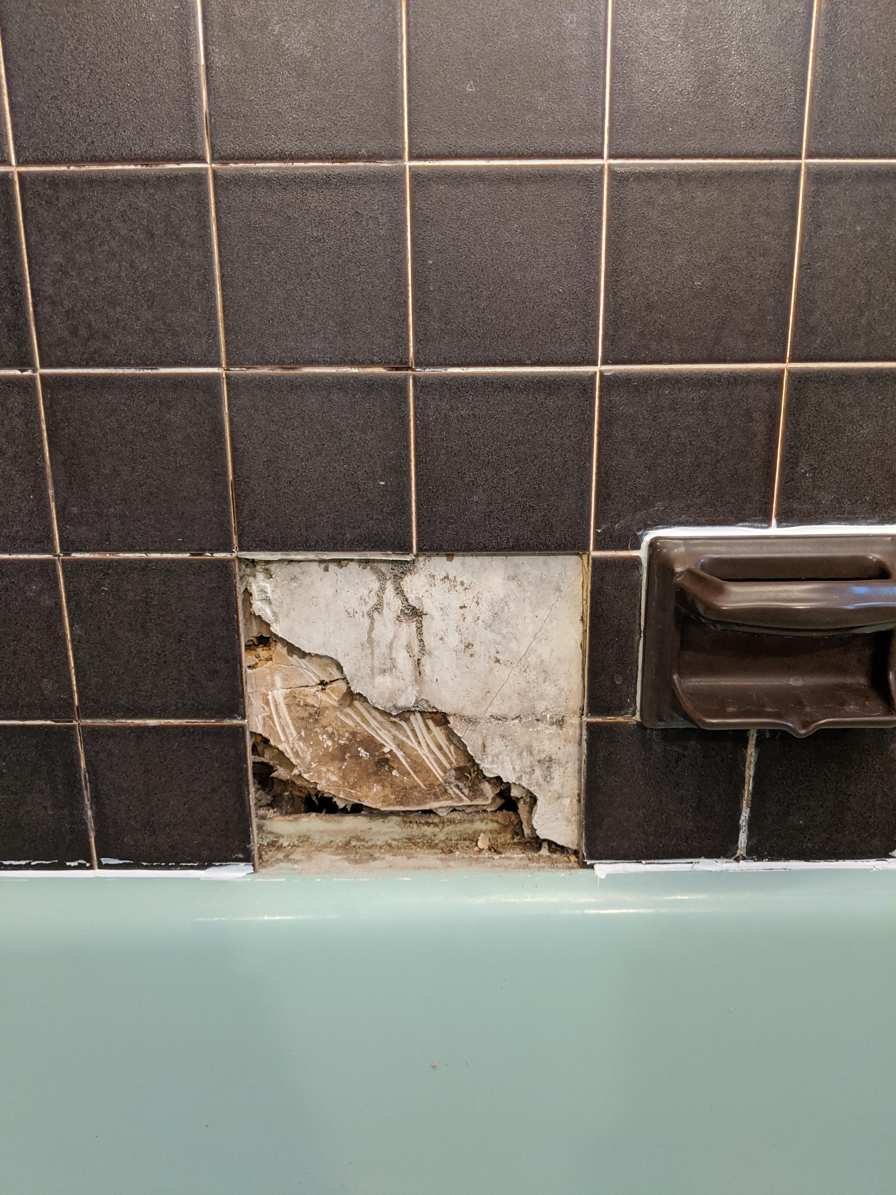 Wall behind shower tile is bad. Looking for advice. r/fixit