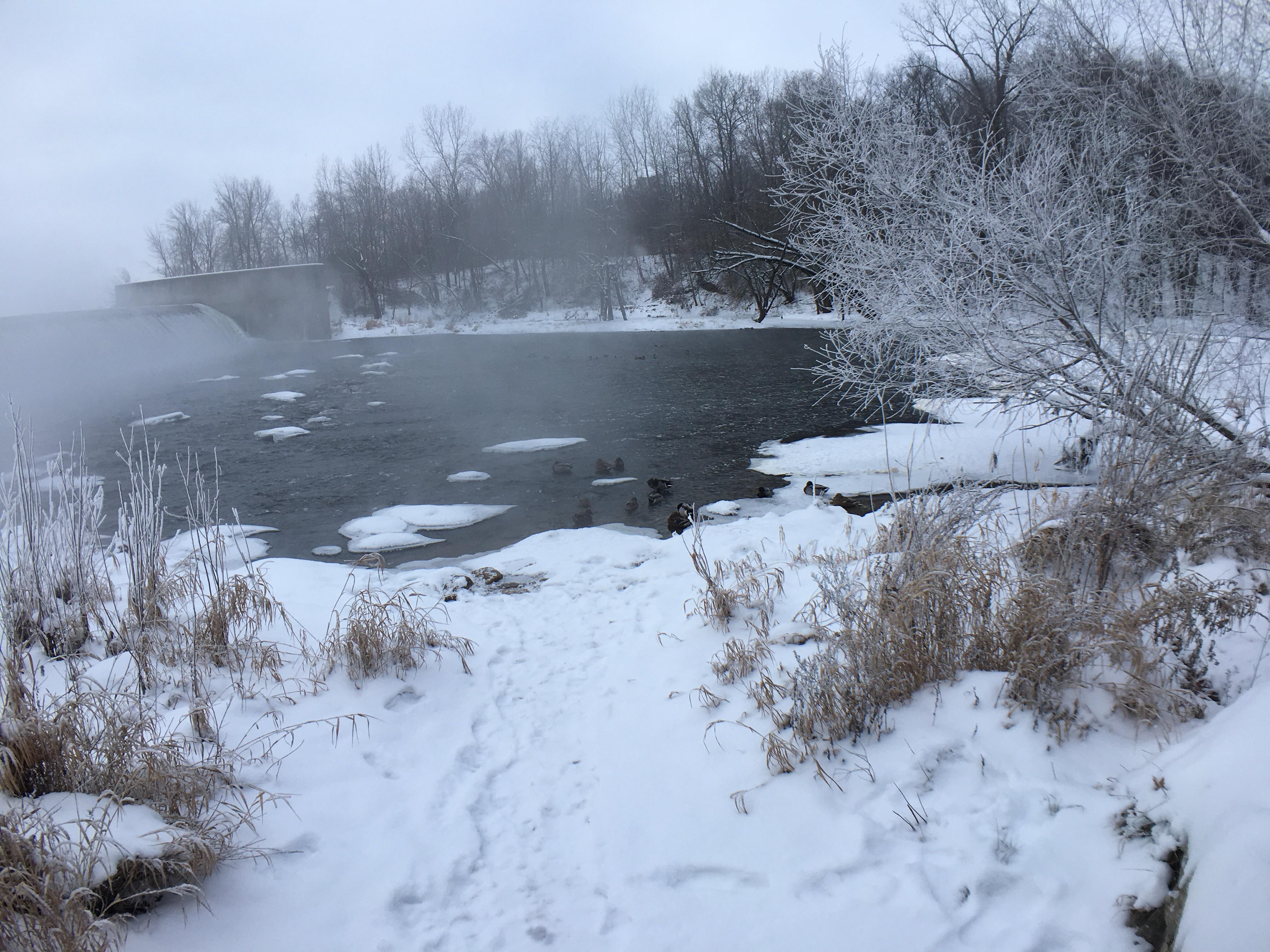 Fog coming off our local dam this morning (Goshen Dam Pond, Goshen, IN