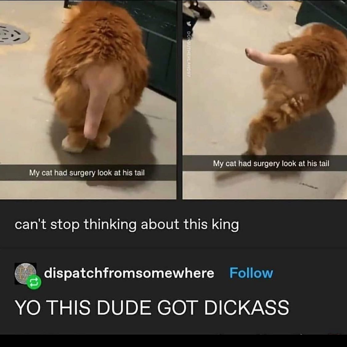 A distinguished gentlemen indeed memes