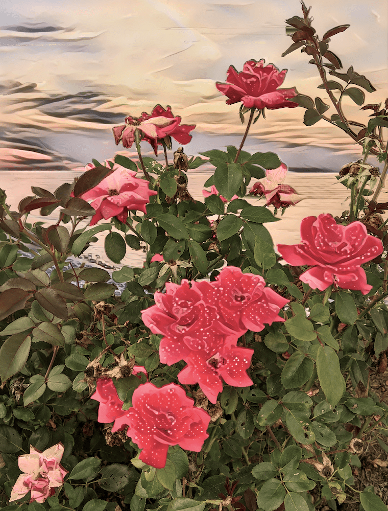 Lynn's Roses on Vacation at Lake Michigan r/deepdream