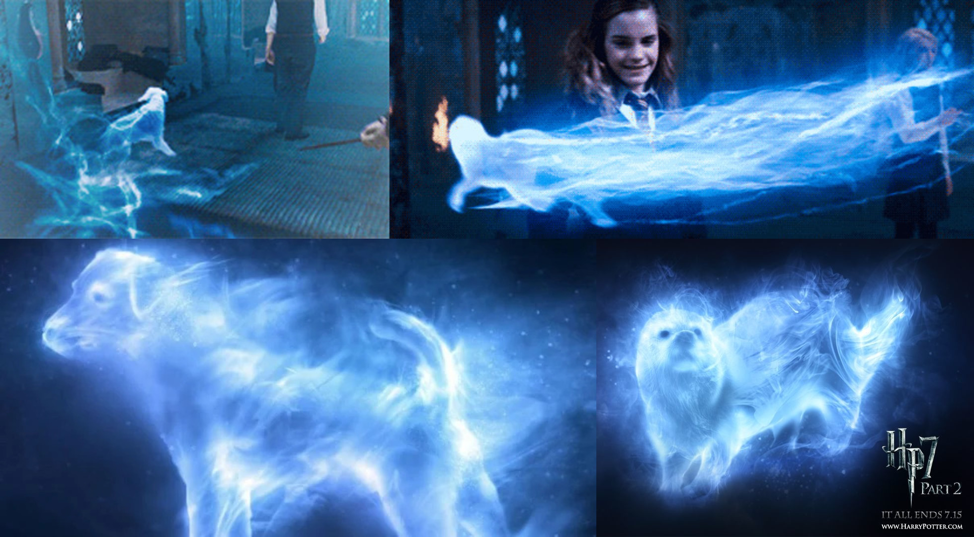 425 best Patronus images on Pholder Harrypotter, HP Hogwarts Mystery