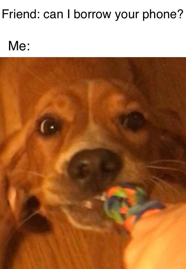 Here’s my low quality meme r/dank_meme