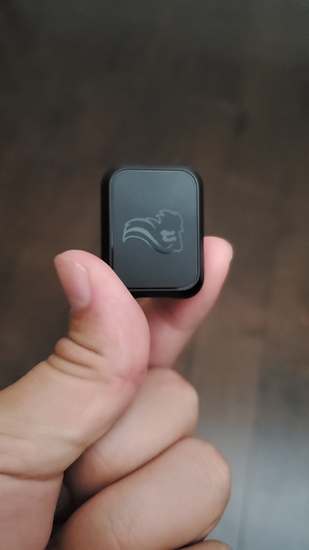 what is this? I just bought the model o wireless and I can't figure out