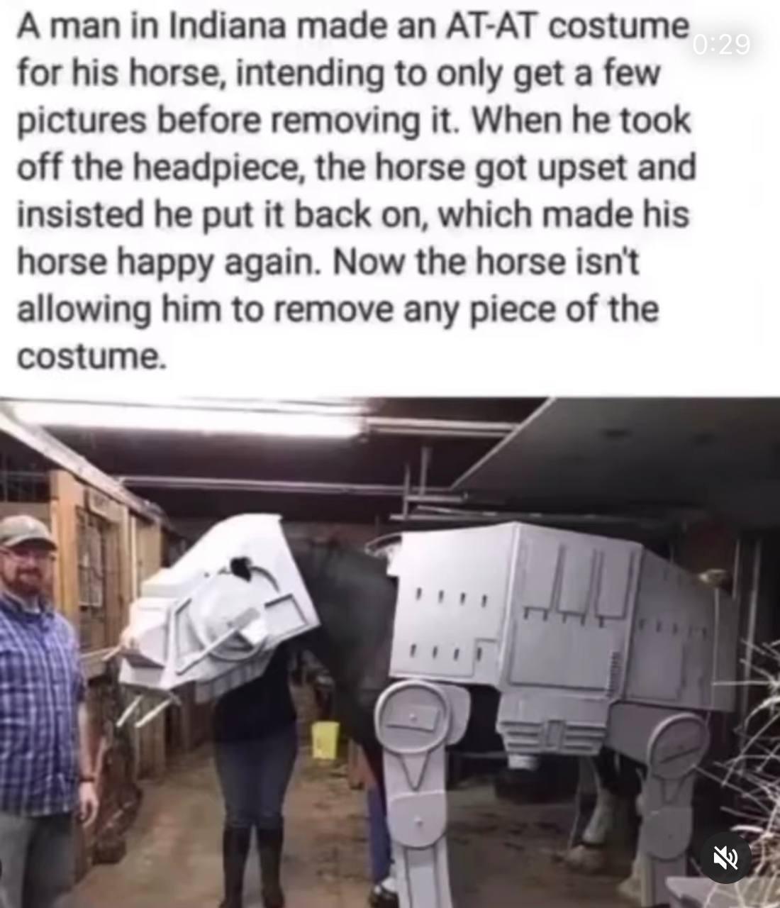 Horse Armor DLC r/MBMBAM