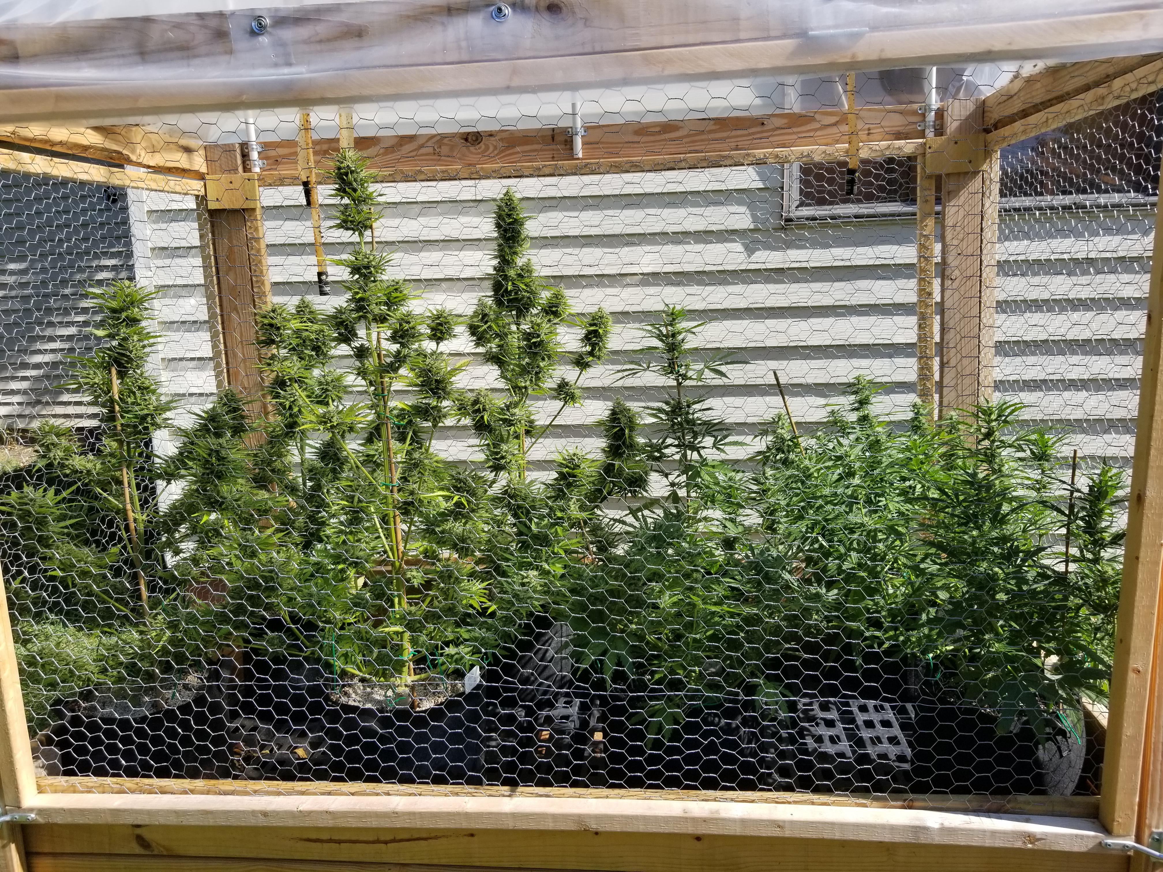 Reddit Dive into anything