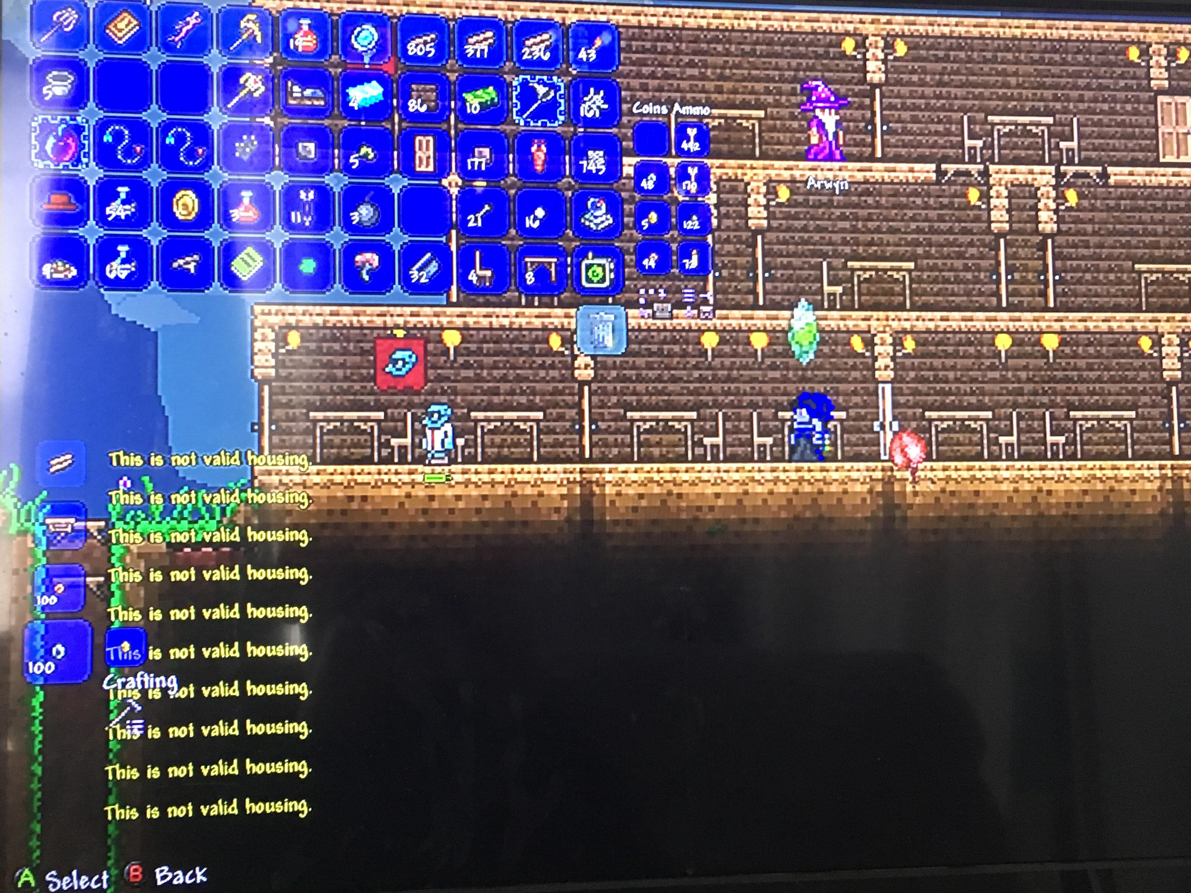 Housing not valid??? r/Terraria