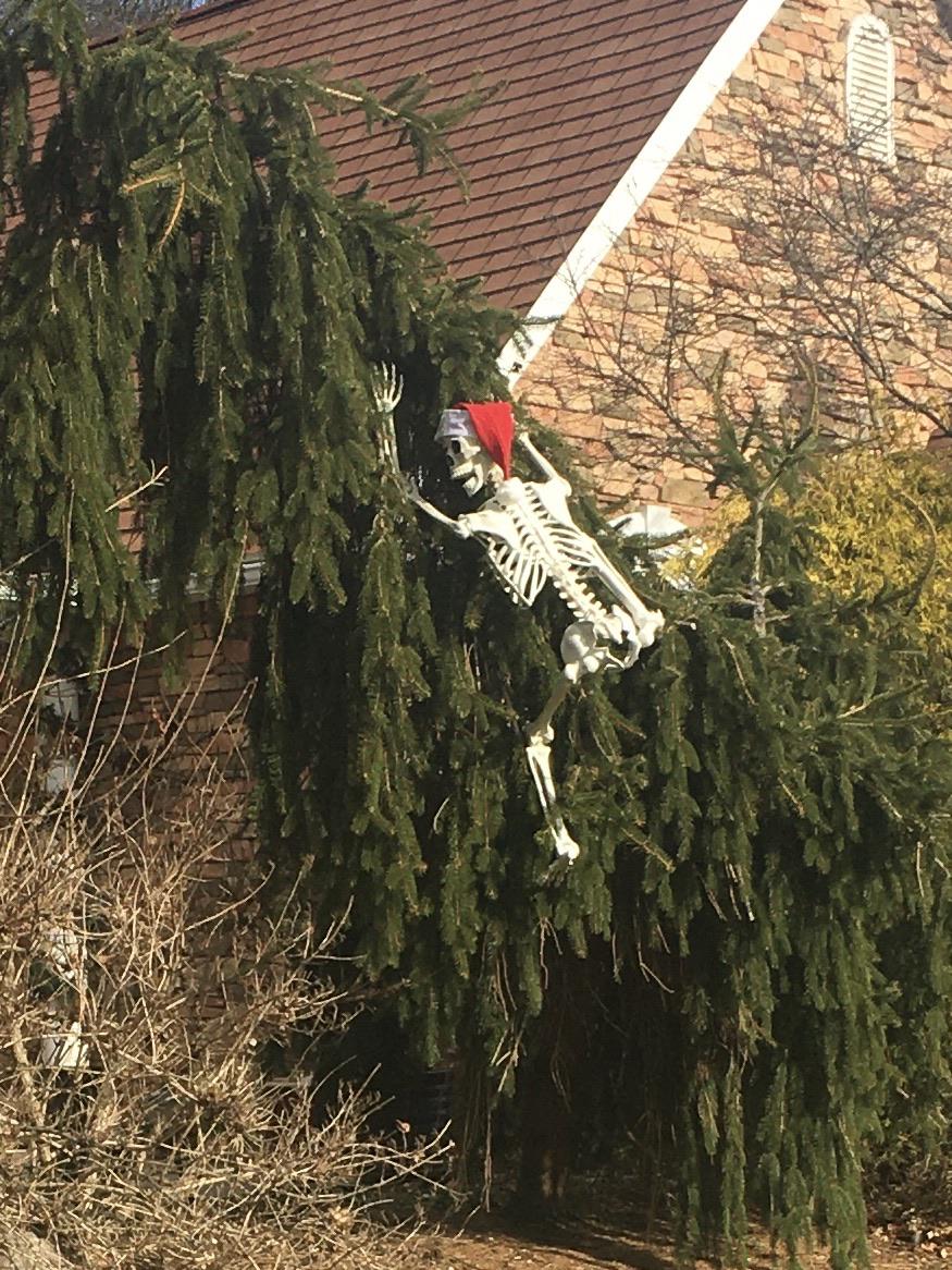 Neighbor’s response to HOA’s email about taking down Halloween