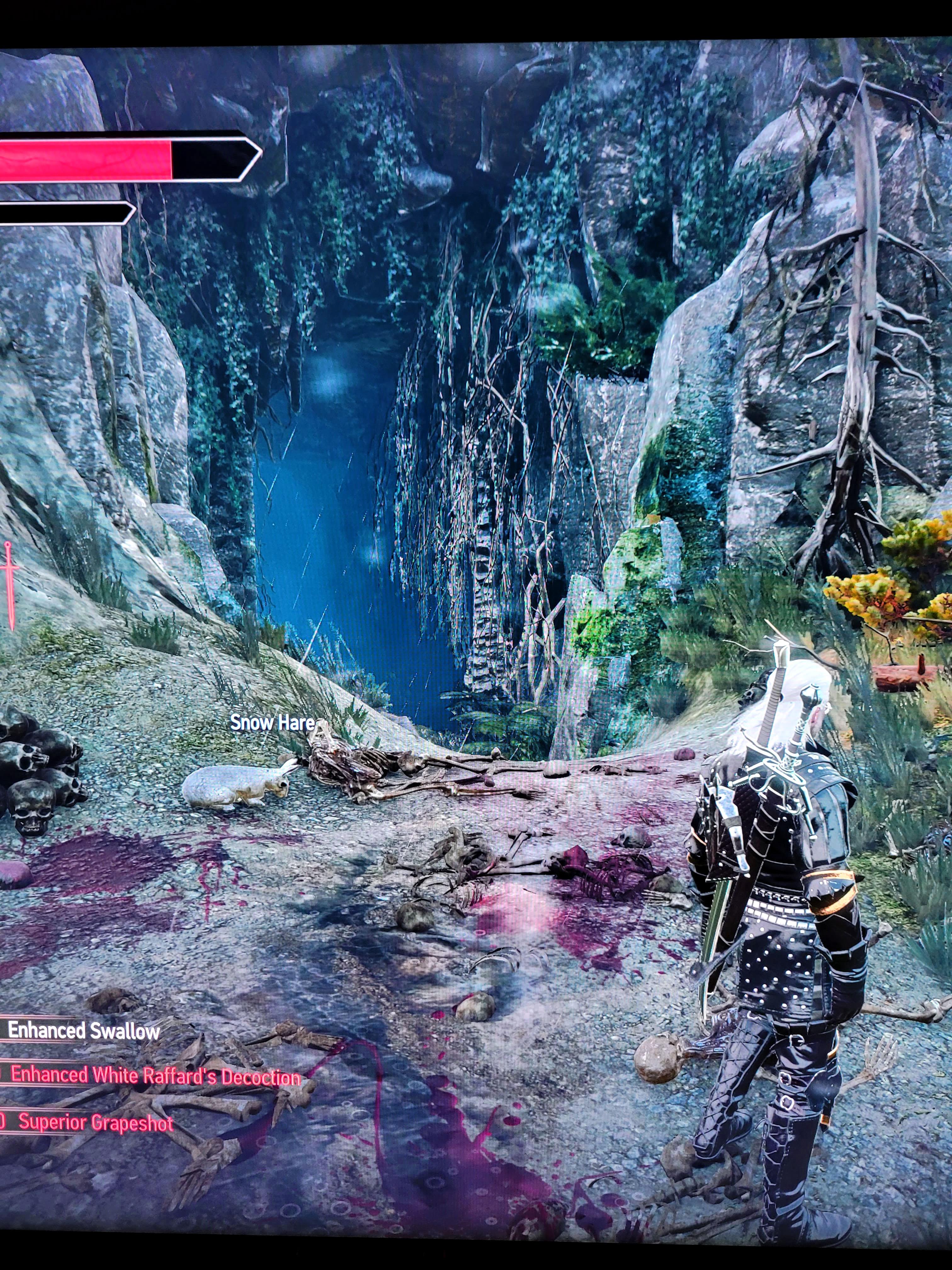 My absolute favorite easter egg the holy grail rabbit r/witcher