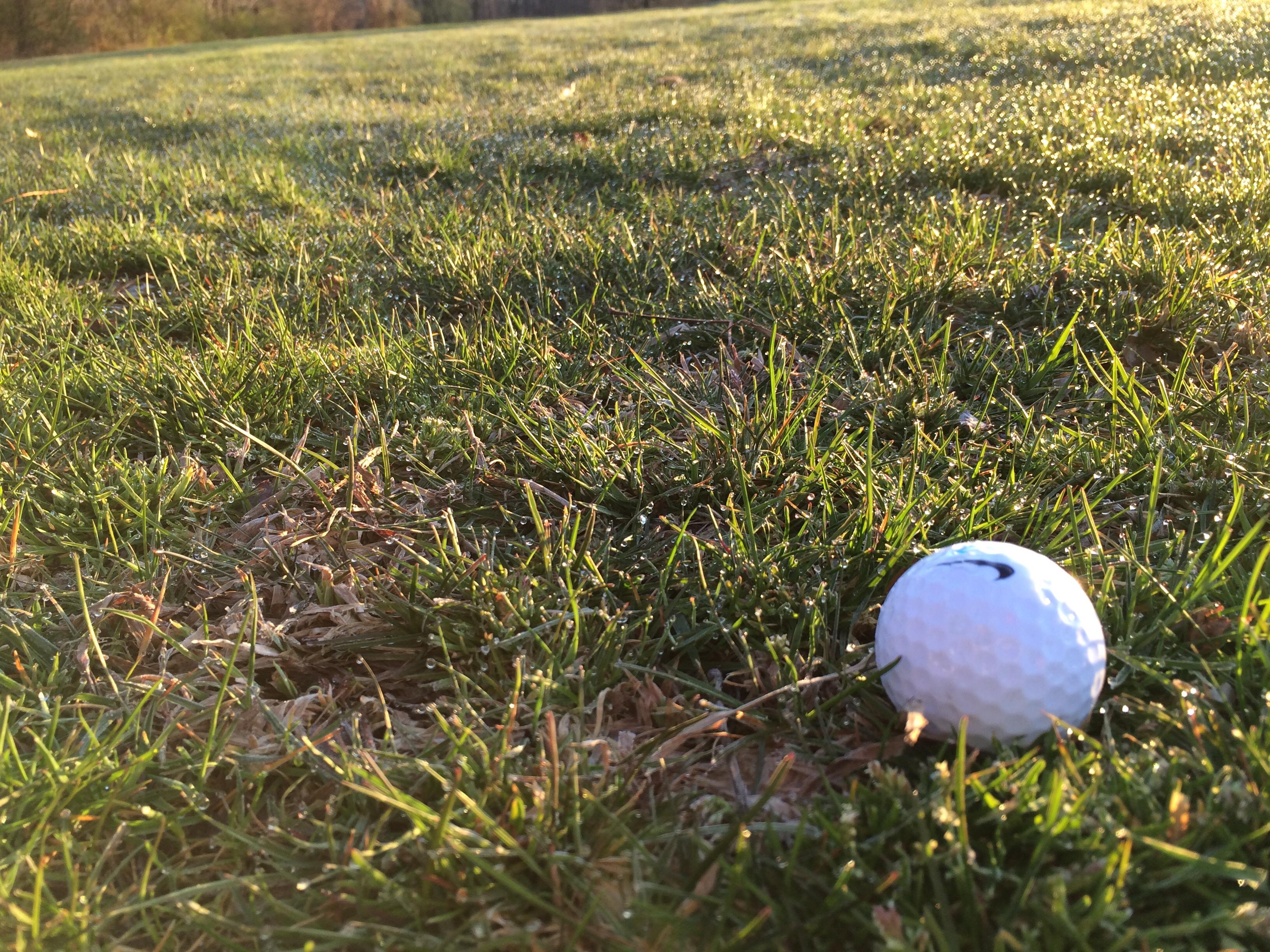Early morning golf makes for great lighting r/golf