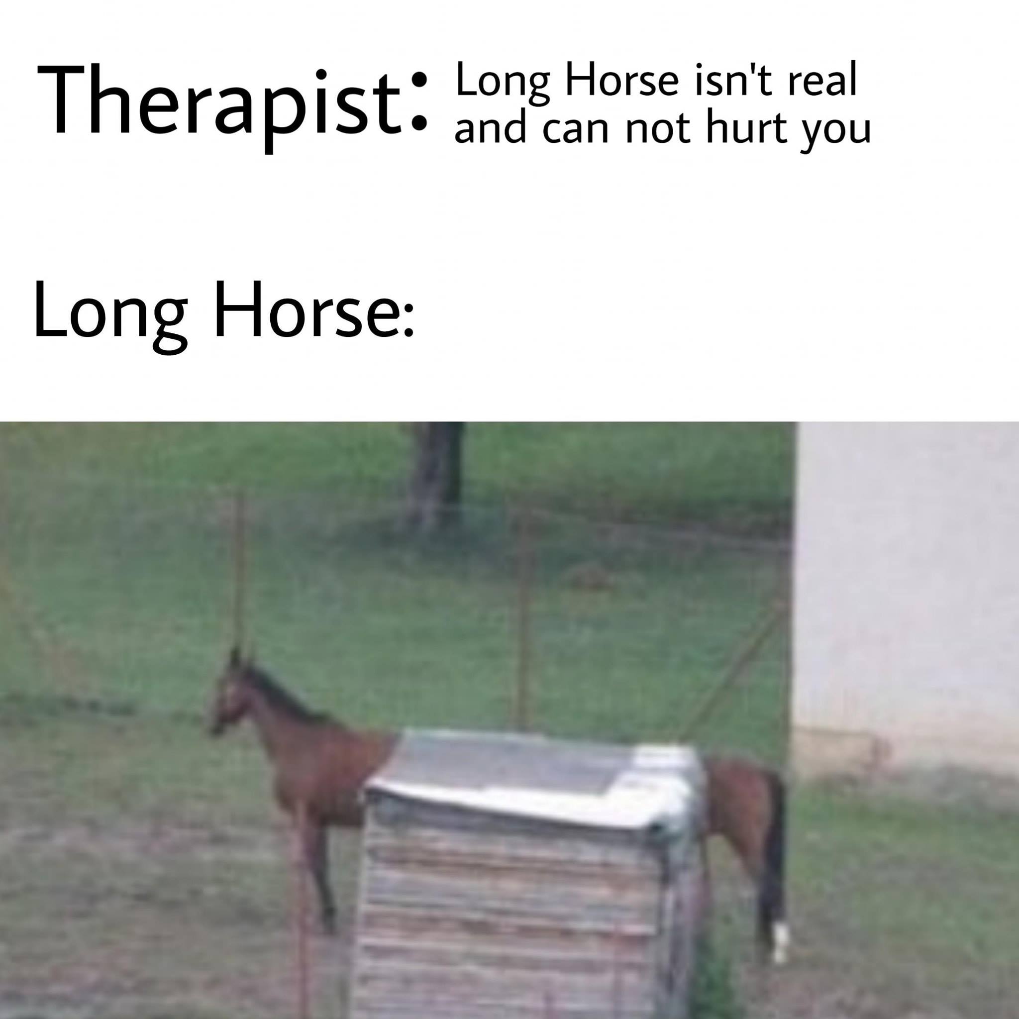 long horse r/PewdiepieSubmissions