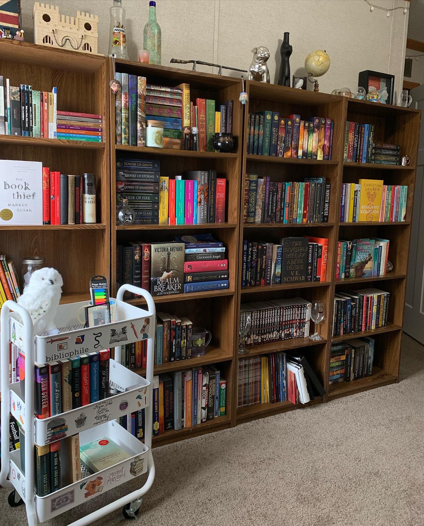 Bookshelves and book cart! r/bookshelf