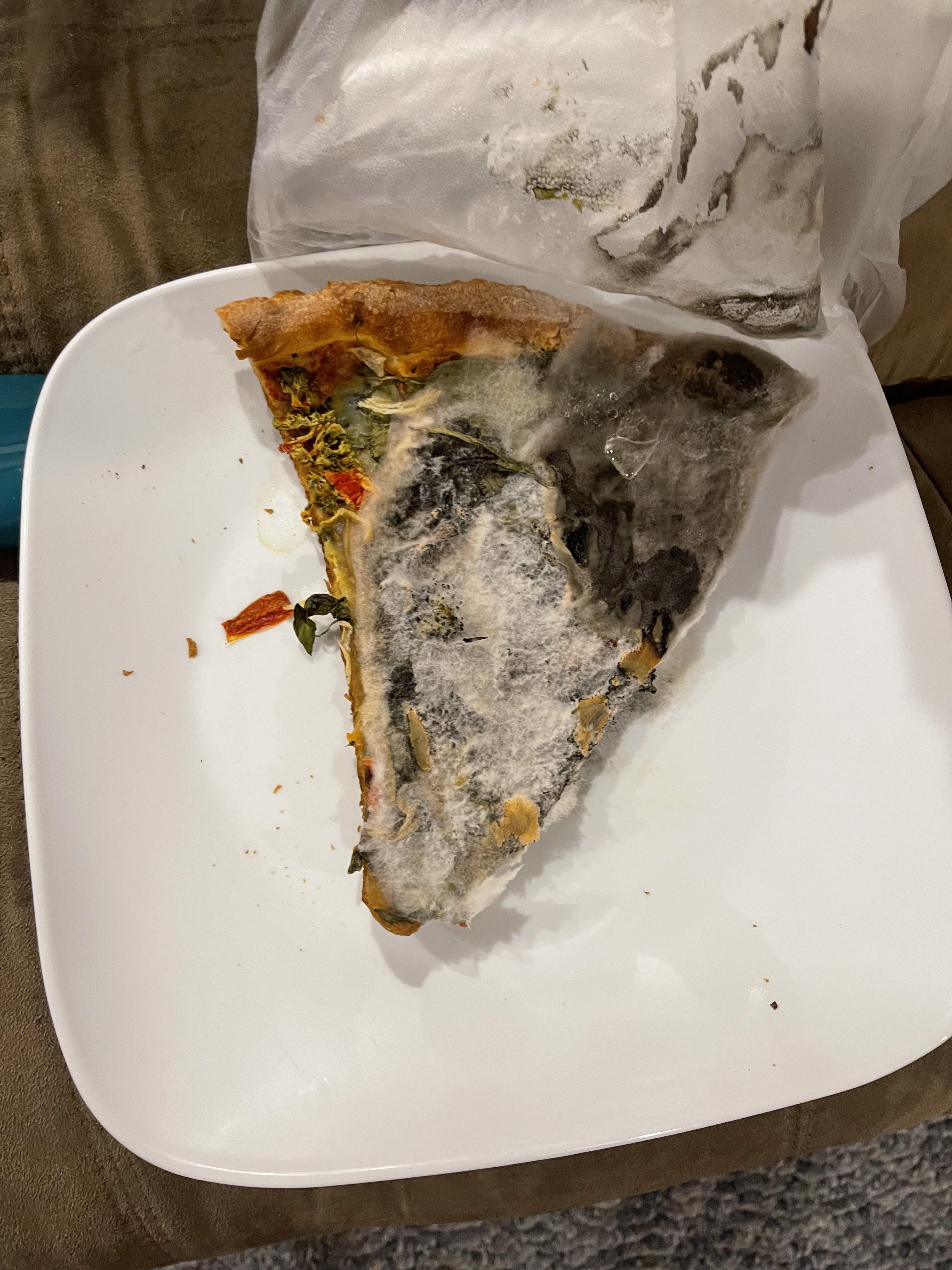 Moldy pizza….been in the fridge about 23 months…enjoy! D r
