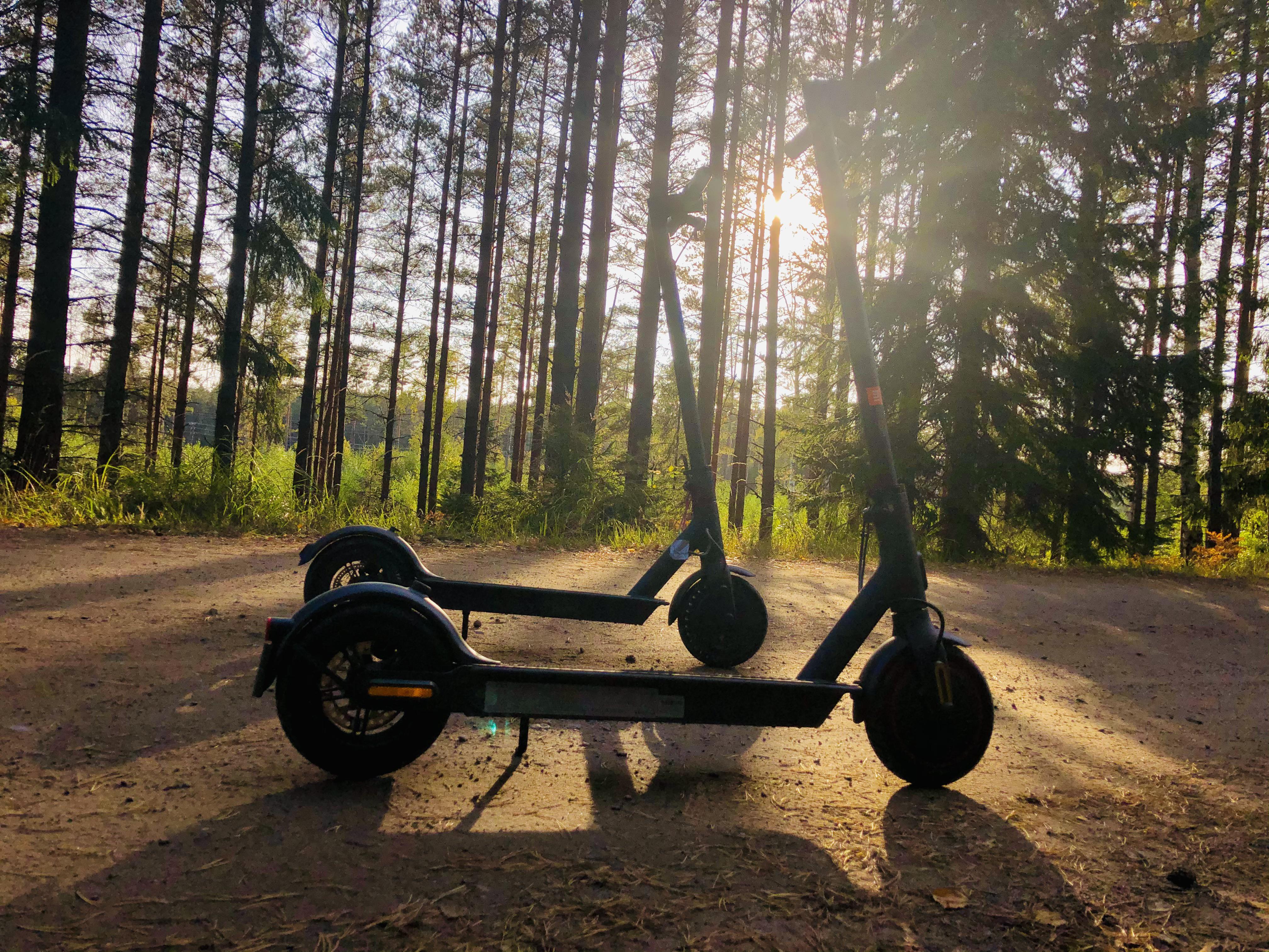 Nice ride r/ElectricScooters