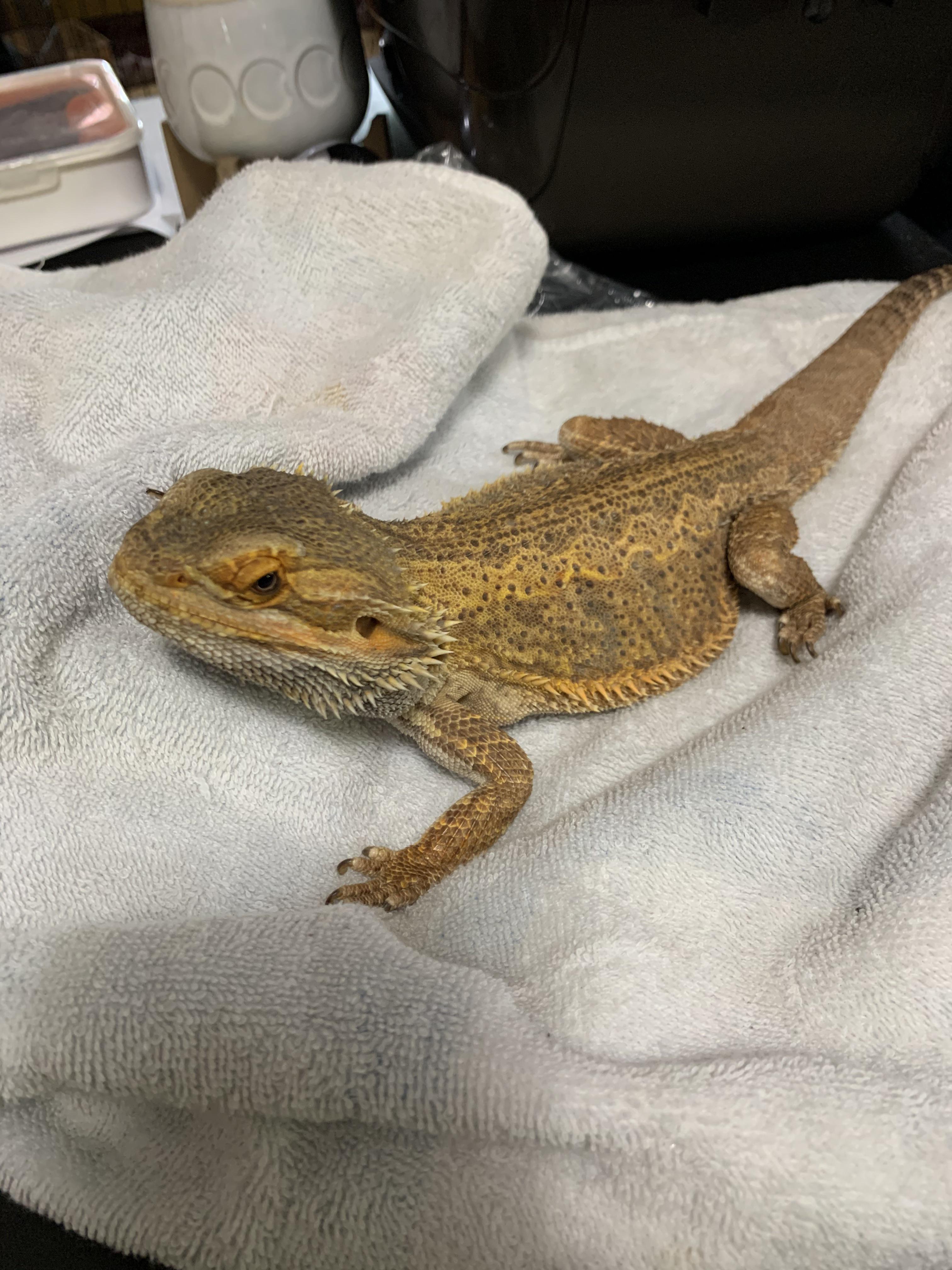 They hate us because they are years old. Peninsula Park. portland