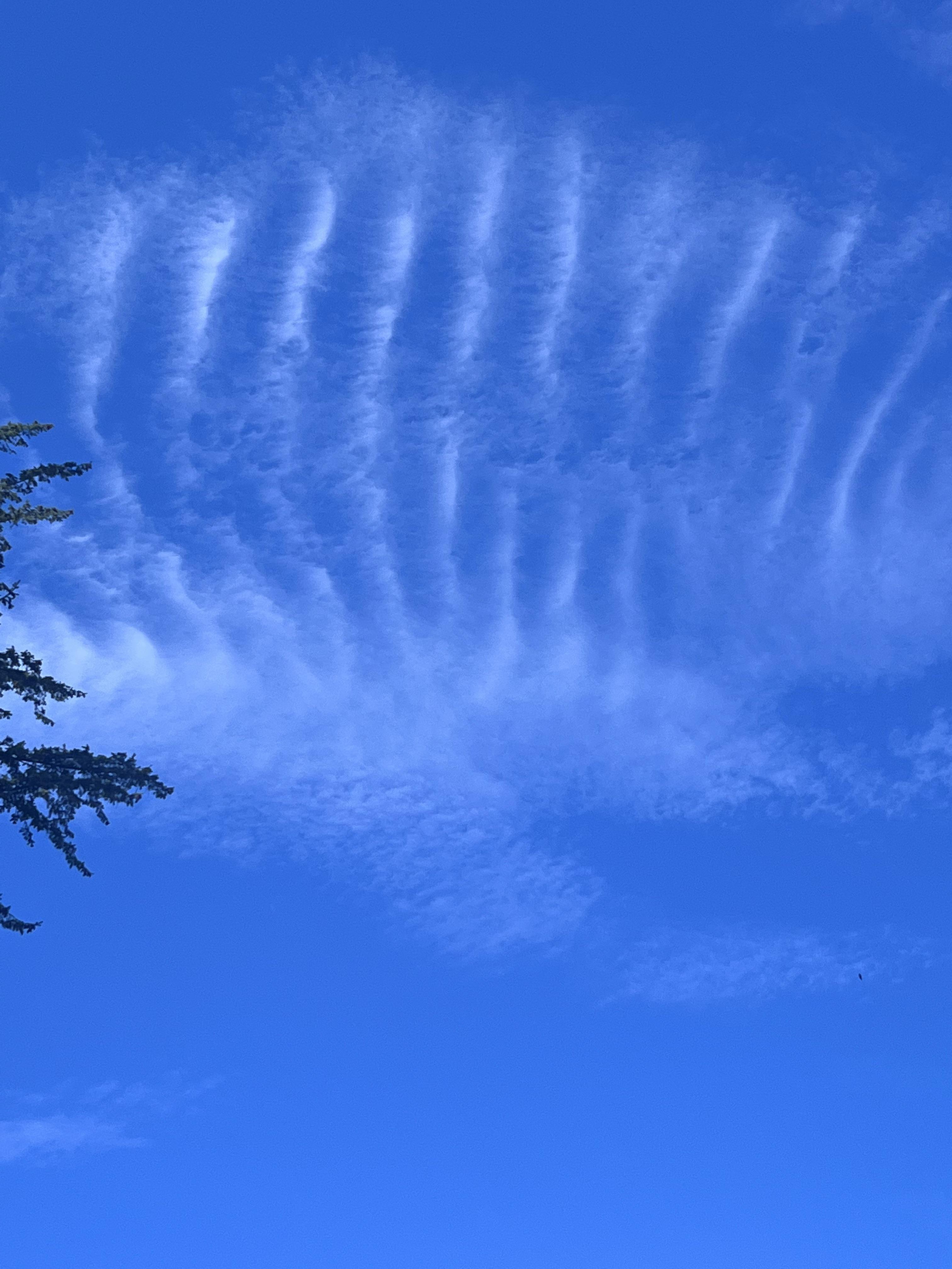 These clouds kinda look like a mountain range,pretty cool r/CLOUDS