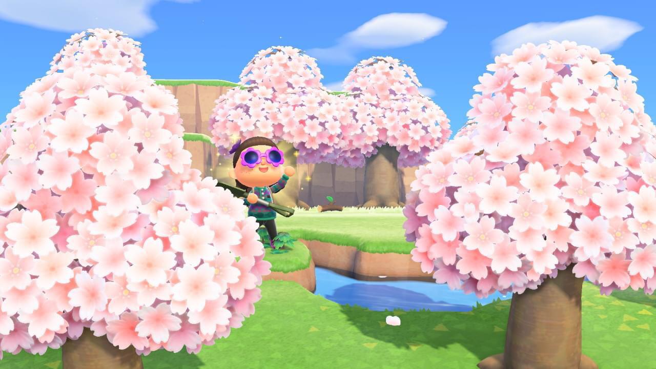 You can find cherry blossom islands! r/AnimalCrossing
