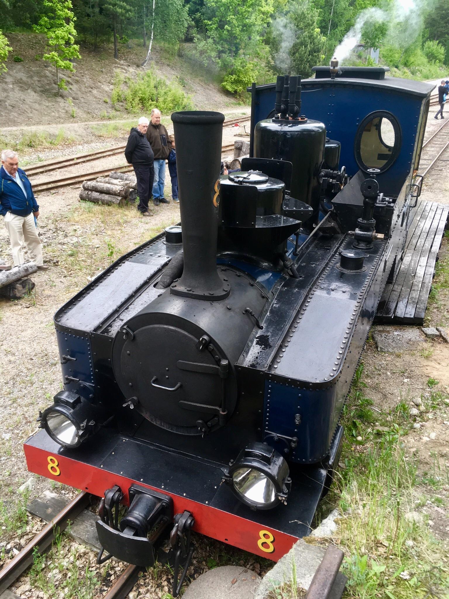 Swedish narrow gauge steam locomotive, derailed at a point near
