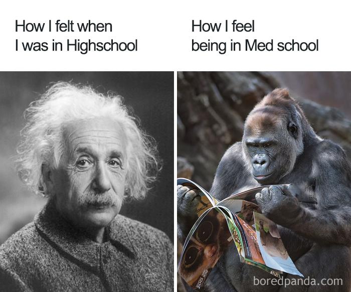 High School vs. Med School 😂😆🤣 r/DoctorMike