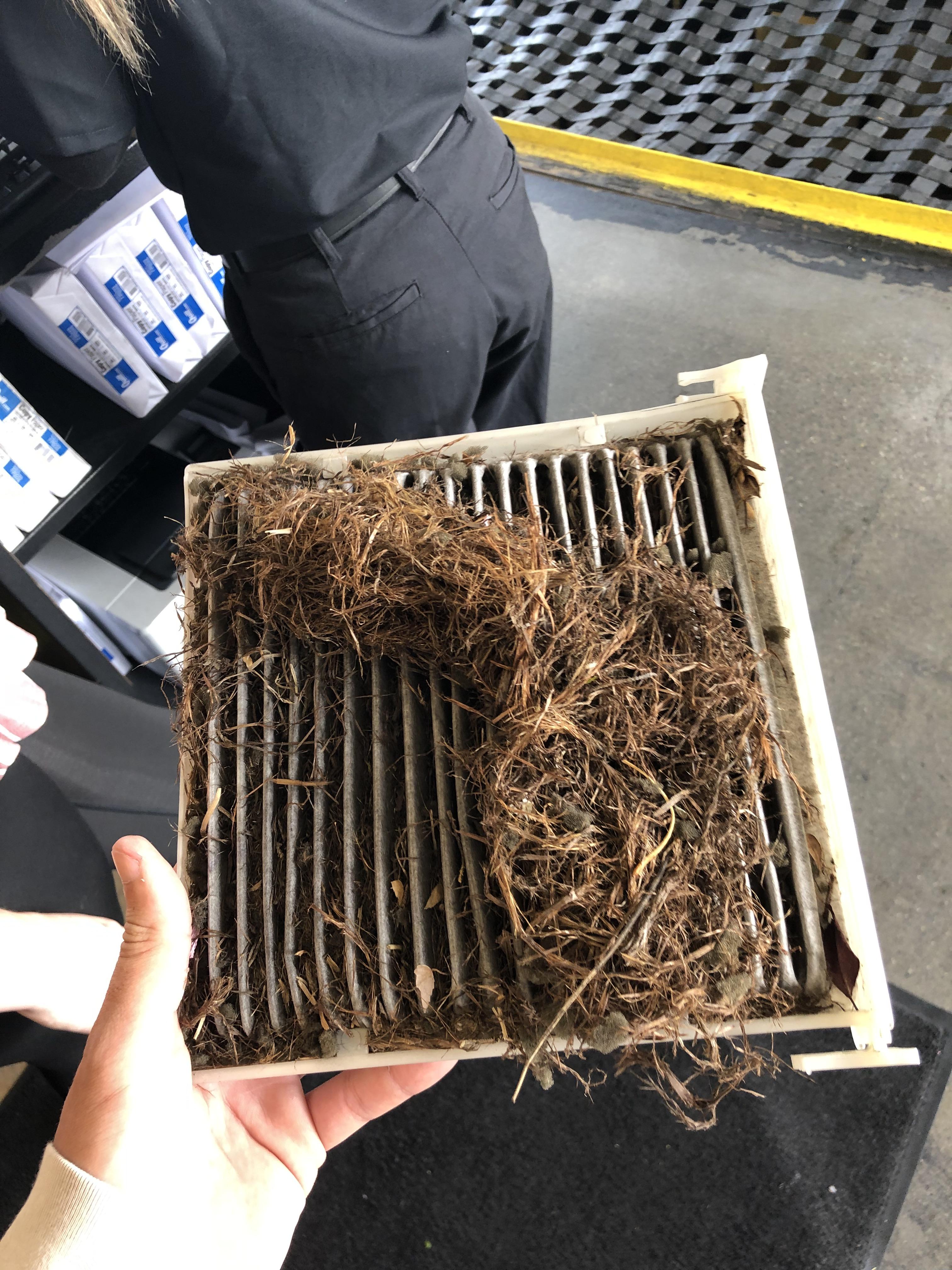 Some of the debris fell off but this was someone’s cabin air filter