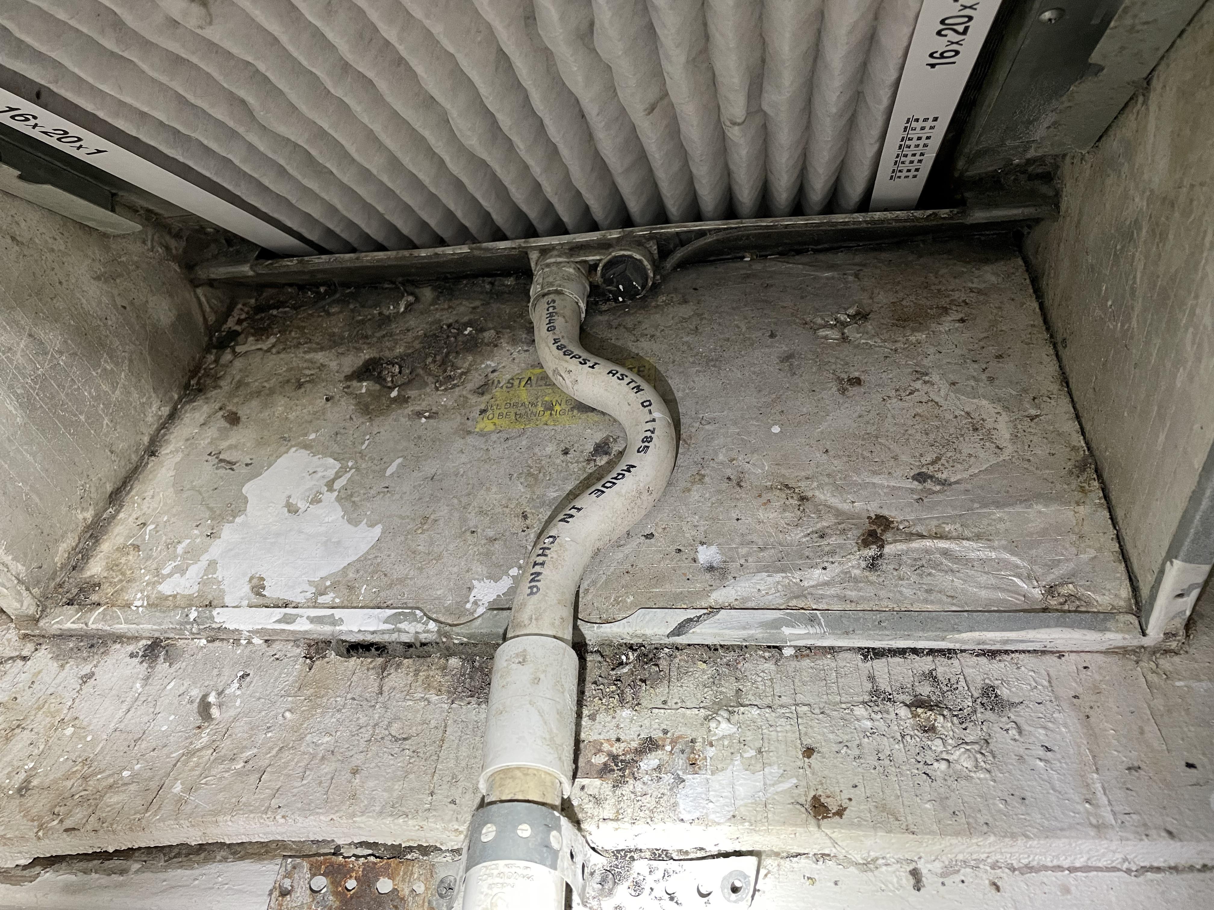 10000 best P Trap images on Pholder | The Cat Trap Is Working, Plumbing