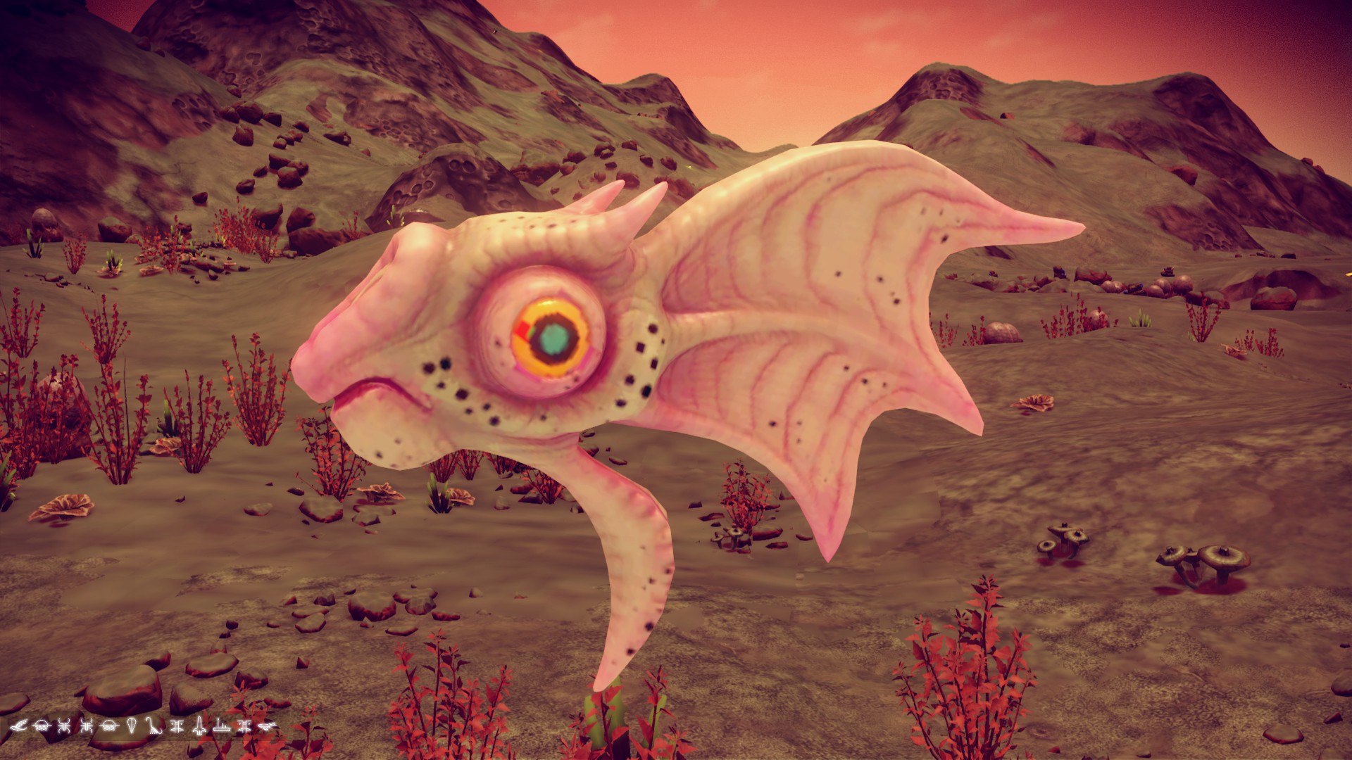 FLYINGTHING 😱 r/NoMansSkyTheGame