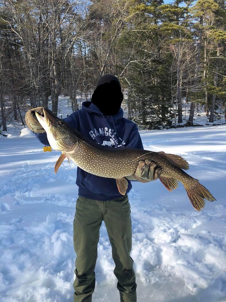 Seen on Facebook, Northern Pike pulled up in Maine r/IceFishing