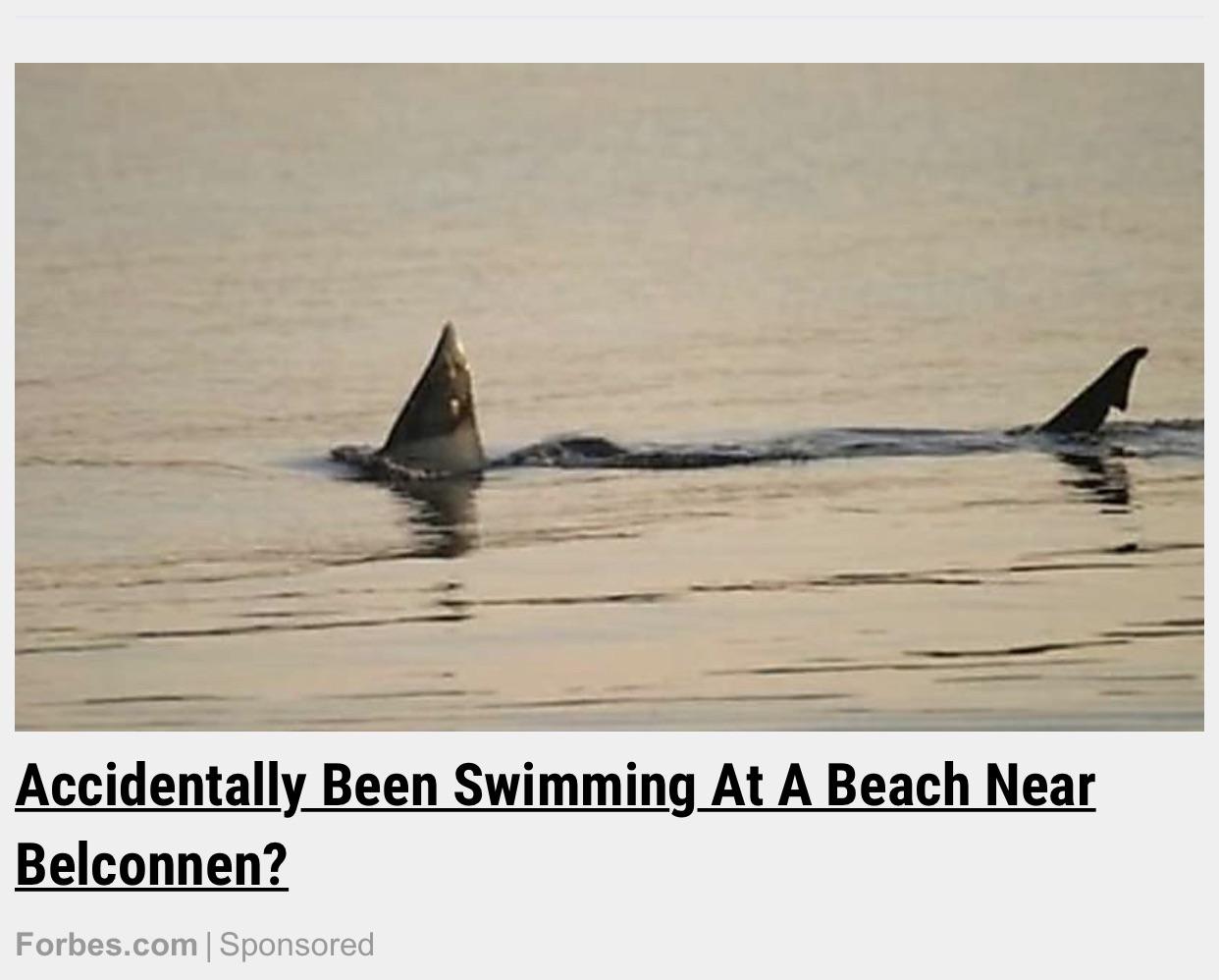 Apparently Jaws lives in Lake Ginninderra..... r/canberra