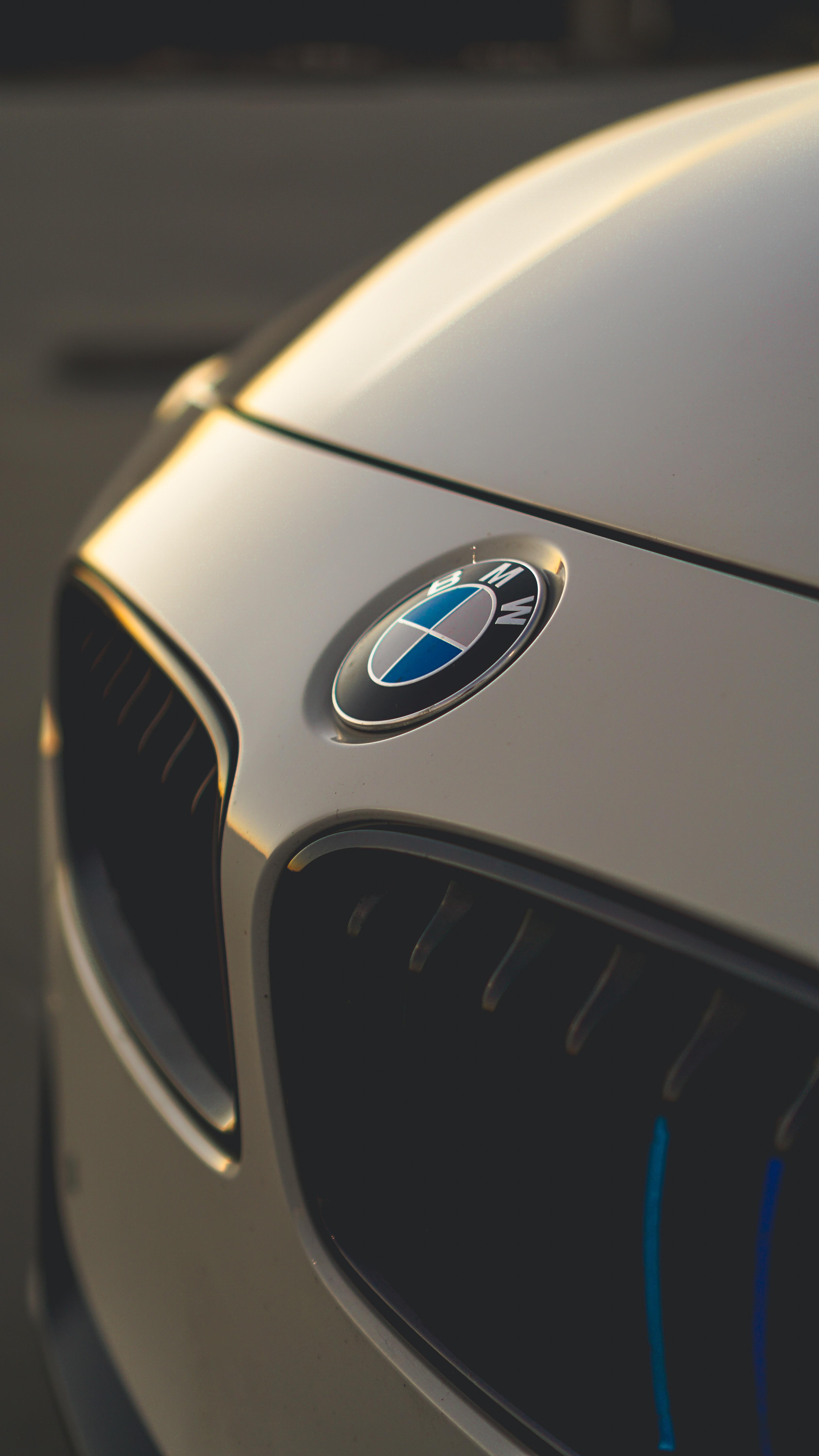 The Emblem BMW