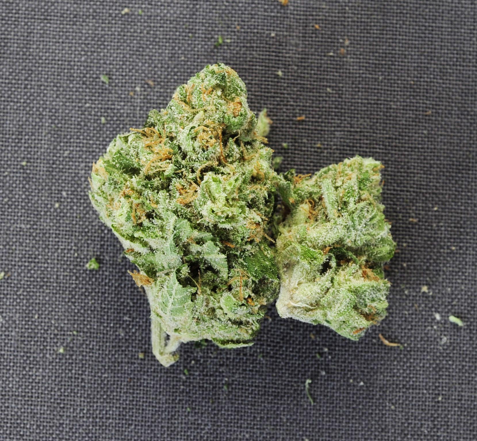 Review Maui Blue Roots r/notallowedtosniff