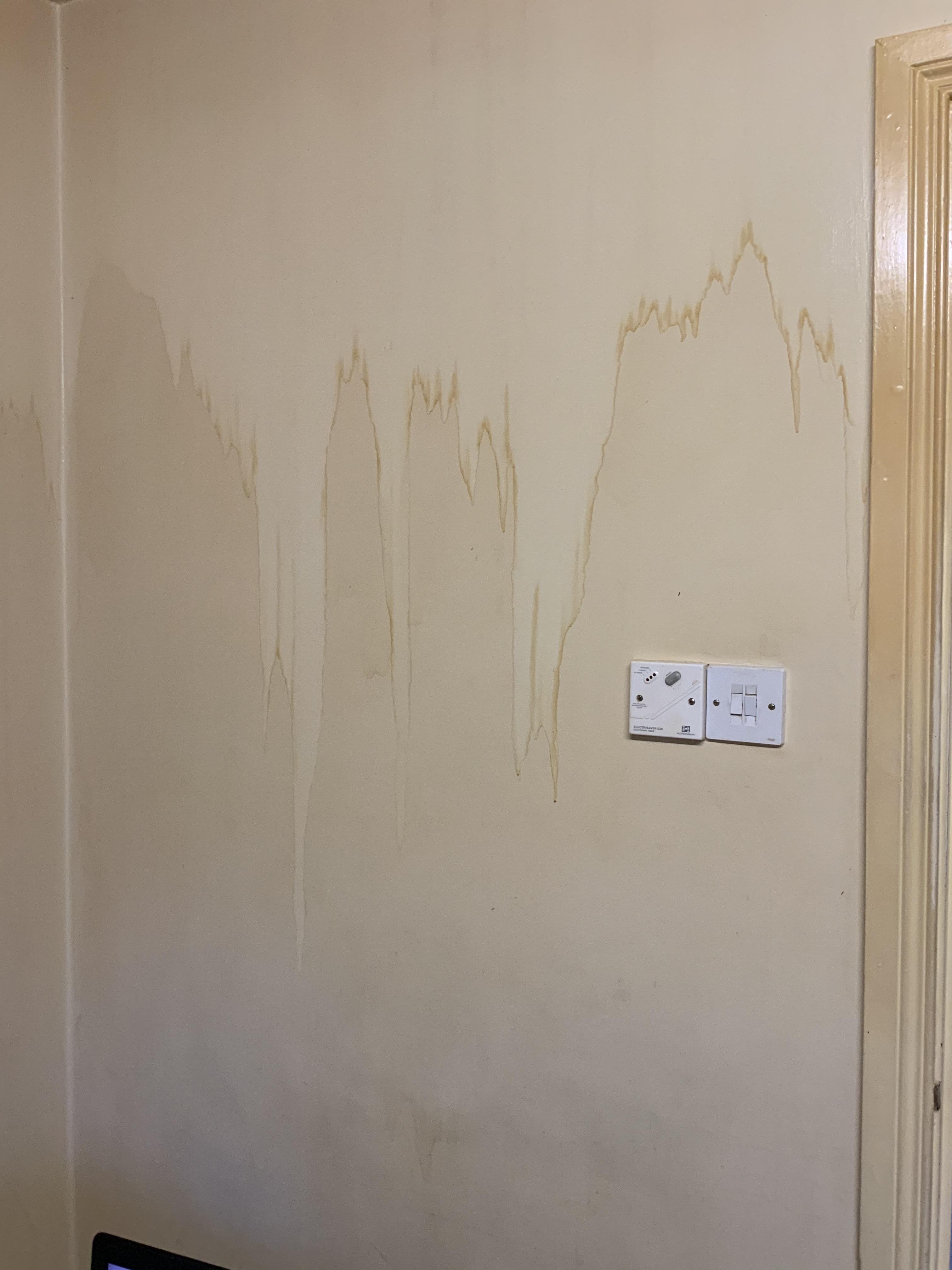 Sweating a years worth of tobacco stains off the kitchen walls r