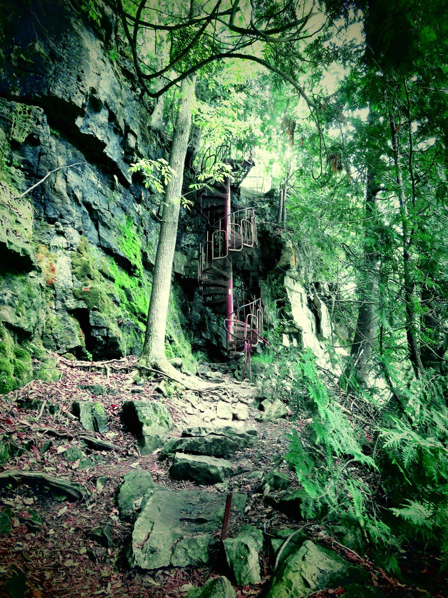 This hidden gem along the Bruce Trail. r/ontario