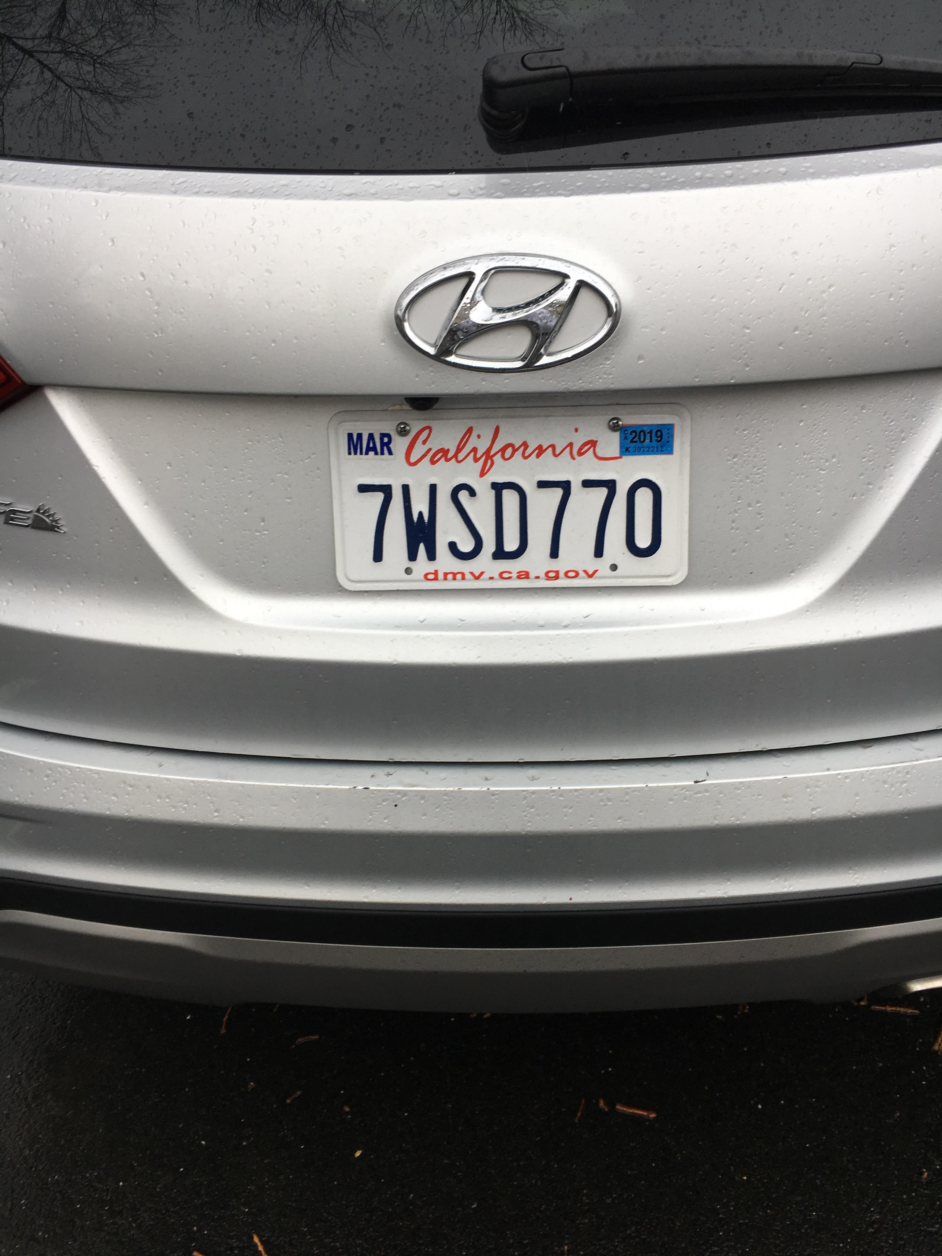 Our rental car from NY has a CA license plate r/mildlyinteresting