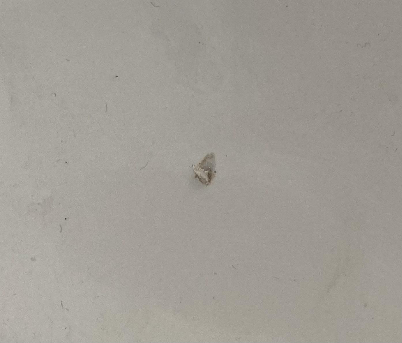 Help! Chipped brand new acrylic bath how can I fix this? r/DIYUK