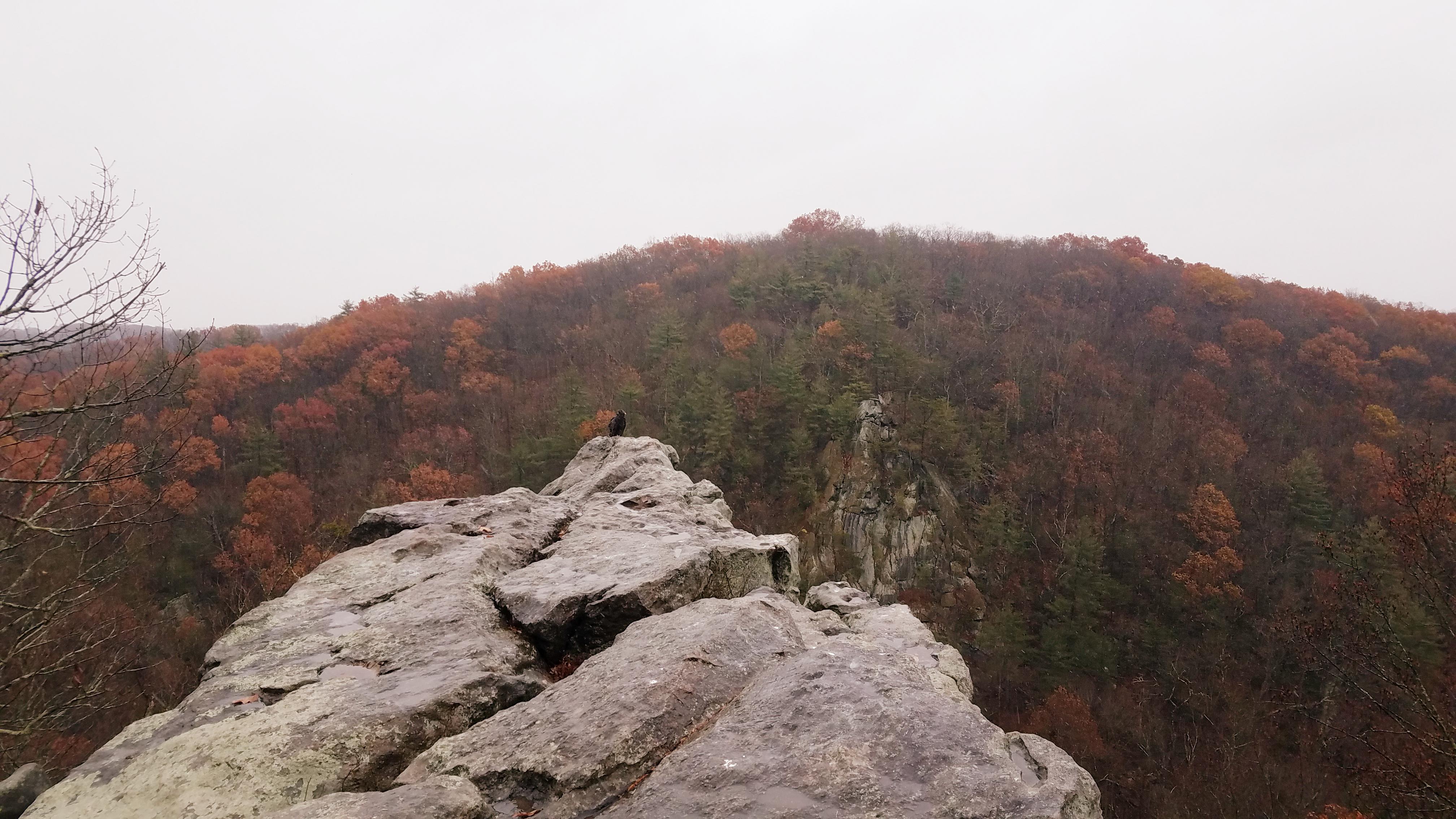 King and Queen Seat at Rock State Park, Jarrettsville, MD r/Outdoors