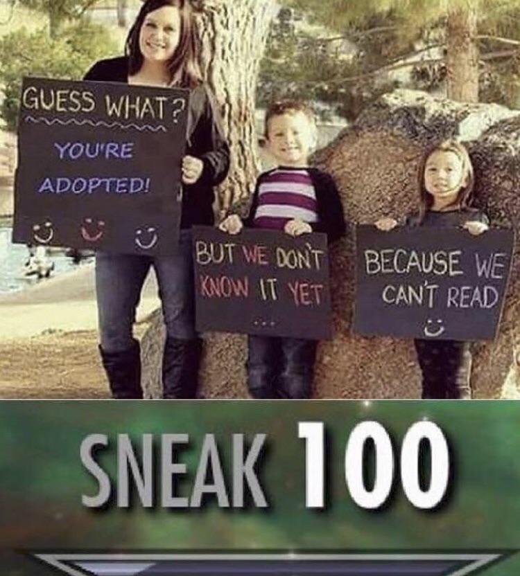 Skyrim memes are useable for any situation ElderScrolls