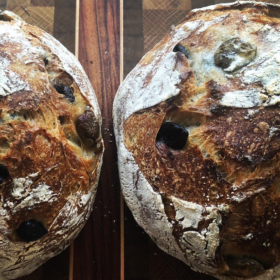 [homemade] Olive and rosemary bread r/food