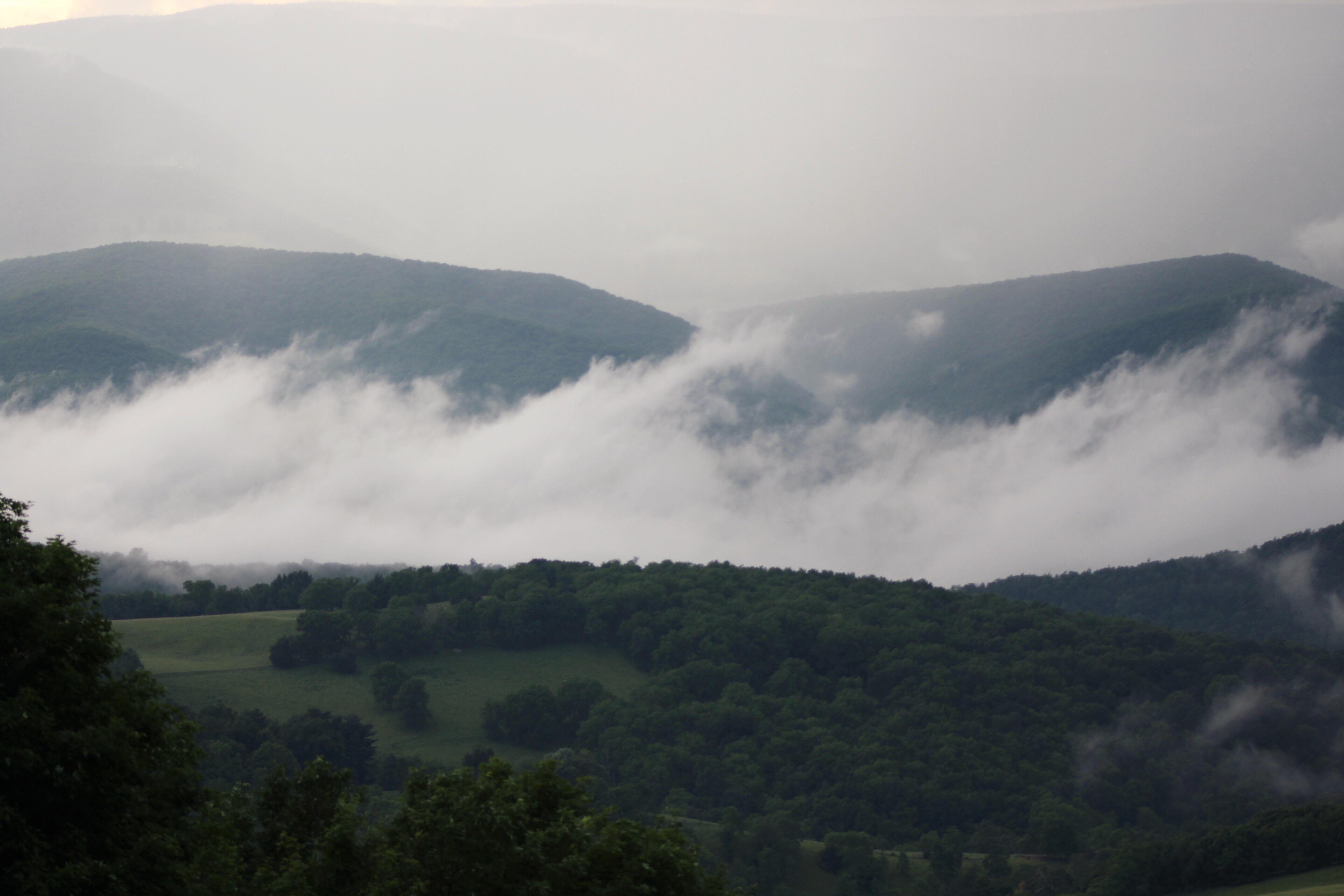 Monongahela National Forest (US WV) r/Outdoors