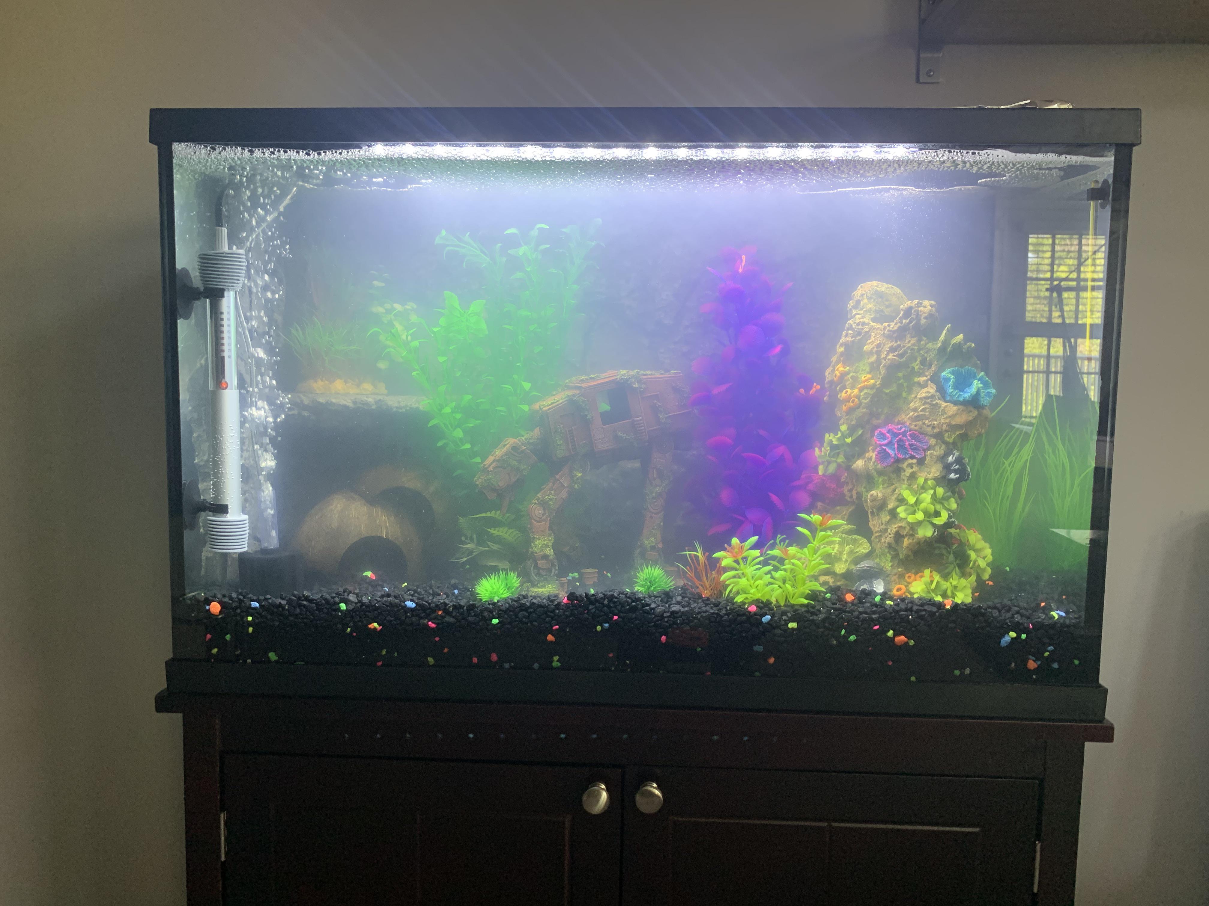 New tank is cloudy r/Aquariums