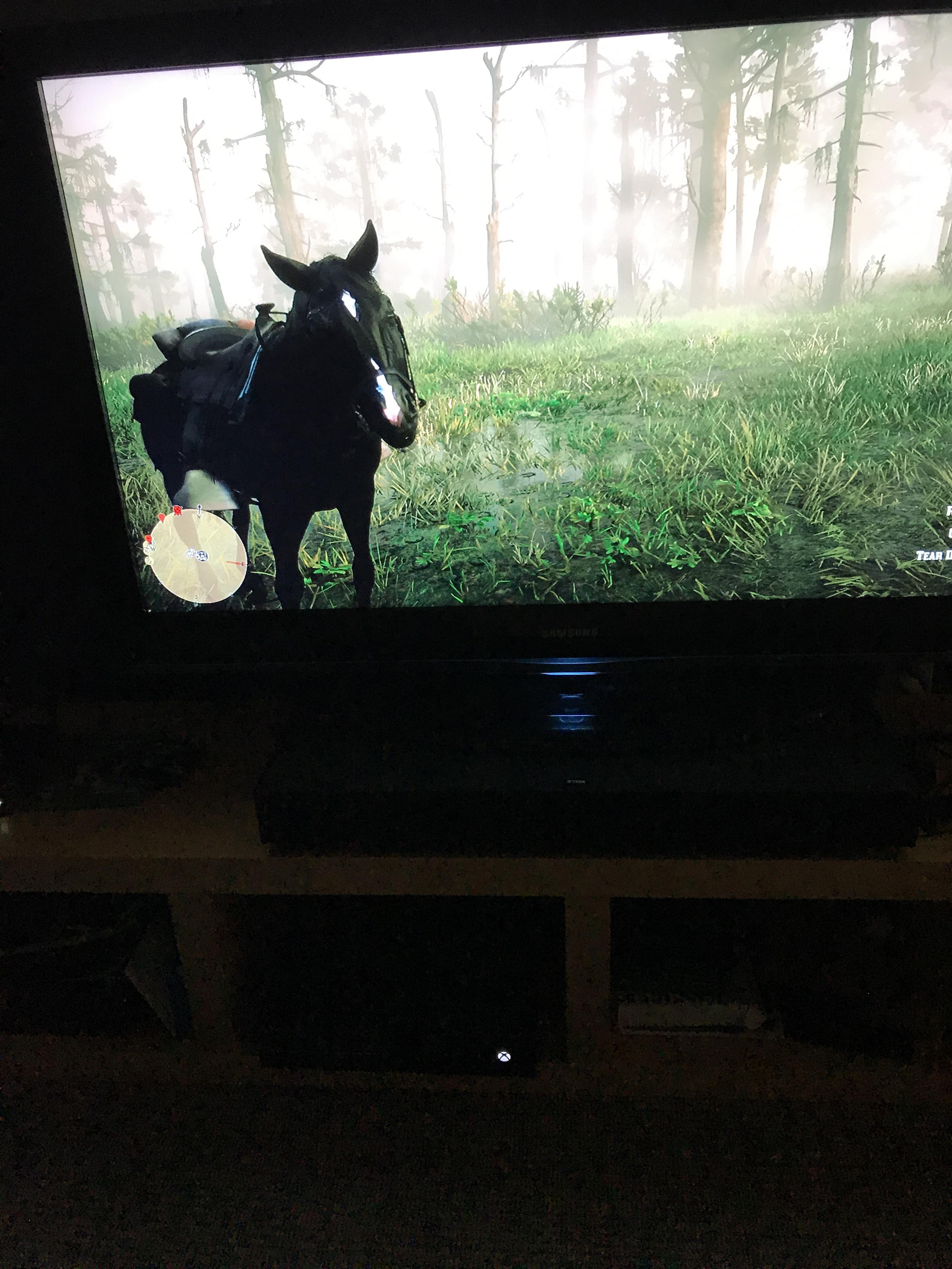 found a black arabian during a random encounter in saint denis during