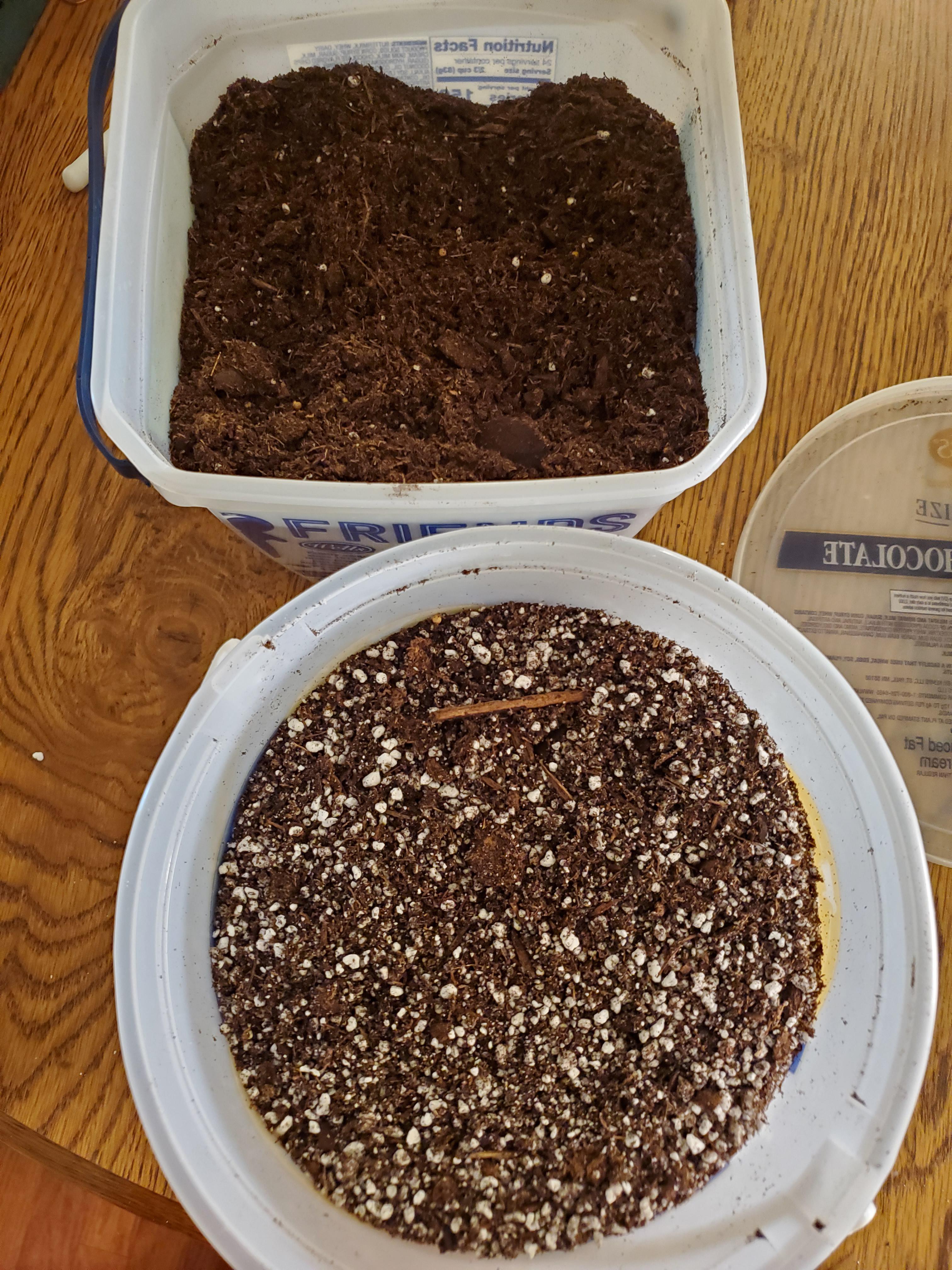 Have always used cactus/succulent soil but had to make my own this time