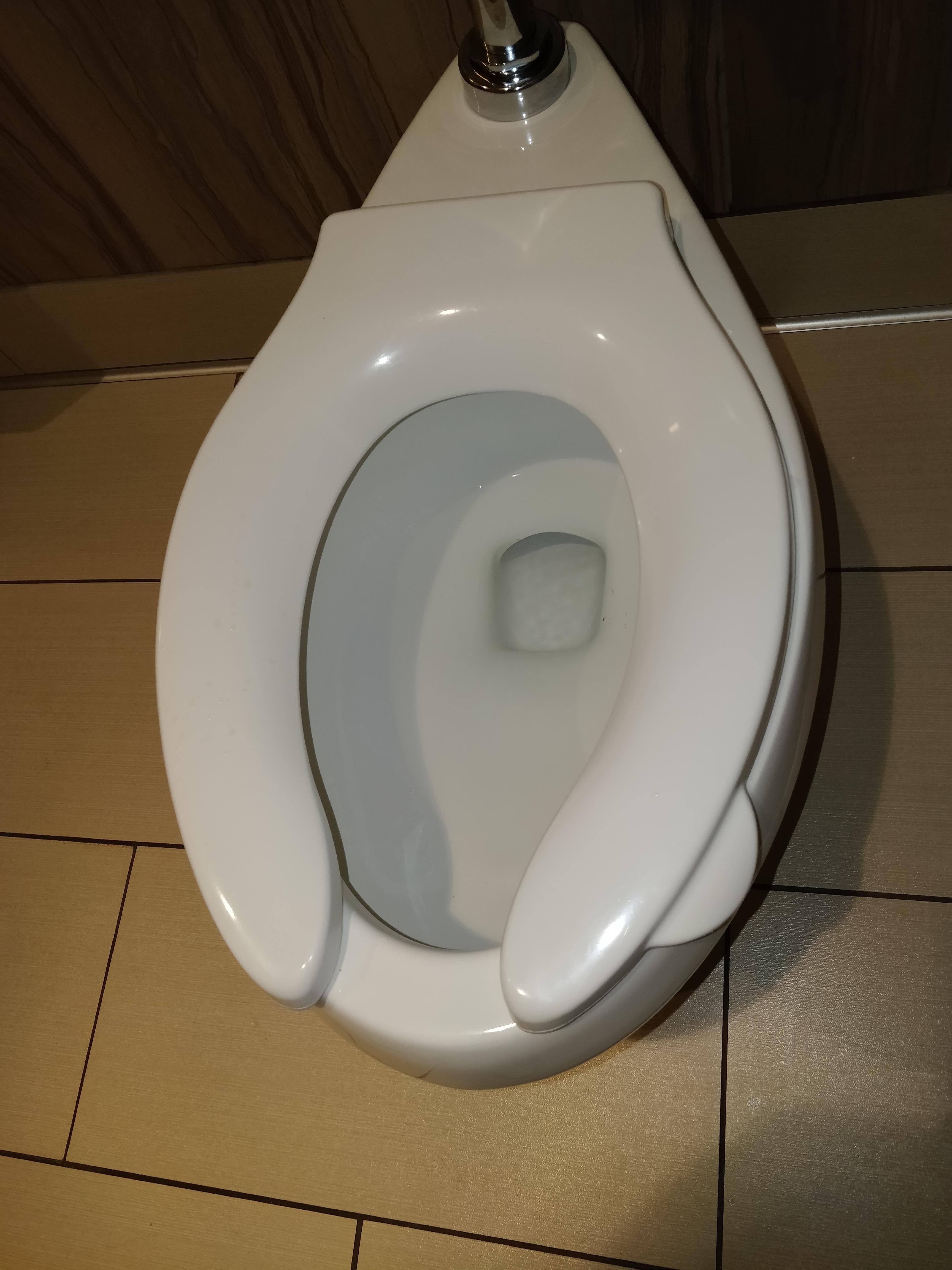 This hotel toilet with a handle to lift the seat r/mildlyinteresting