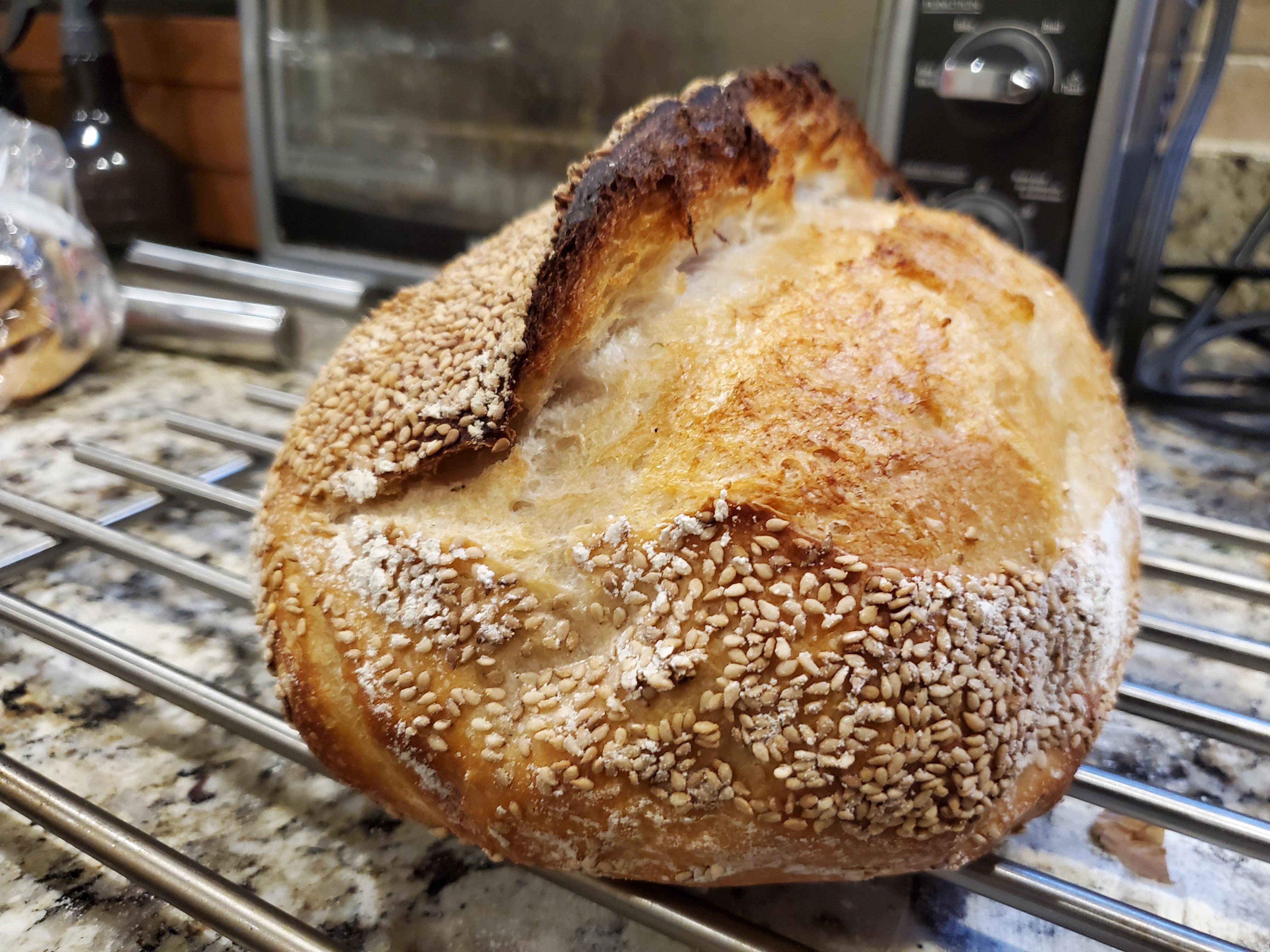 Finally got my very first ear! (Sourdough bread, AP flour, 74