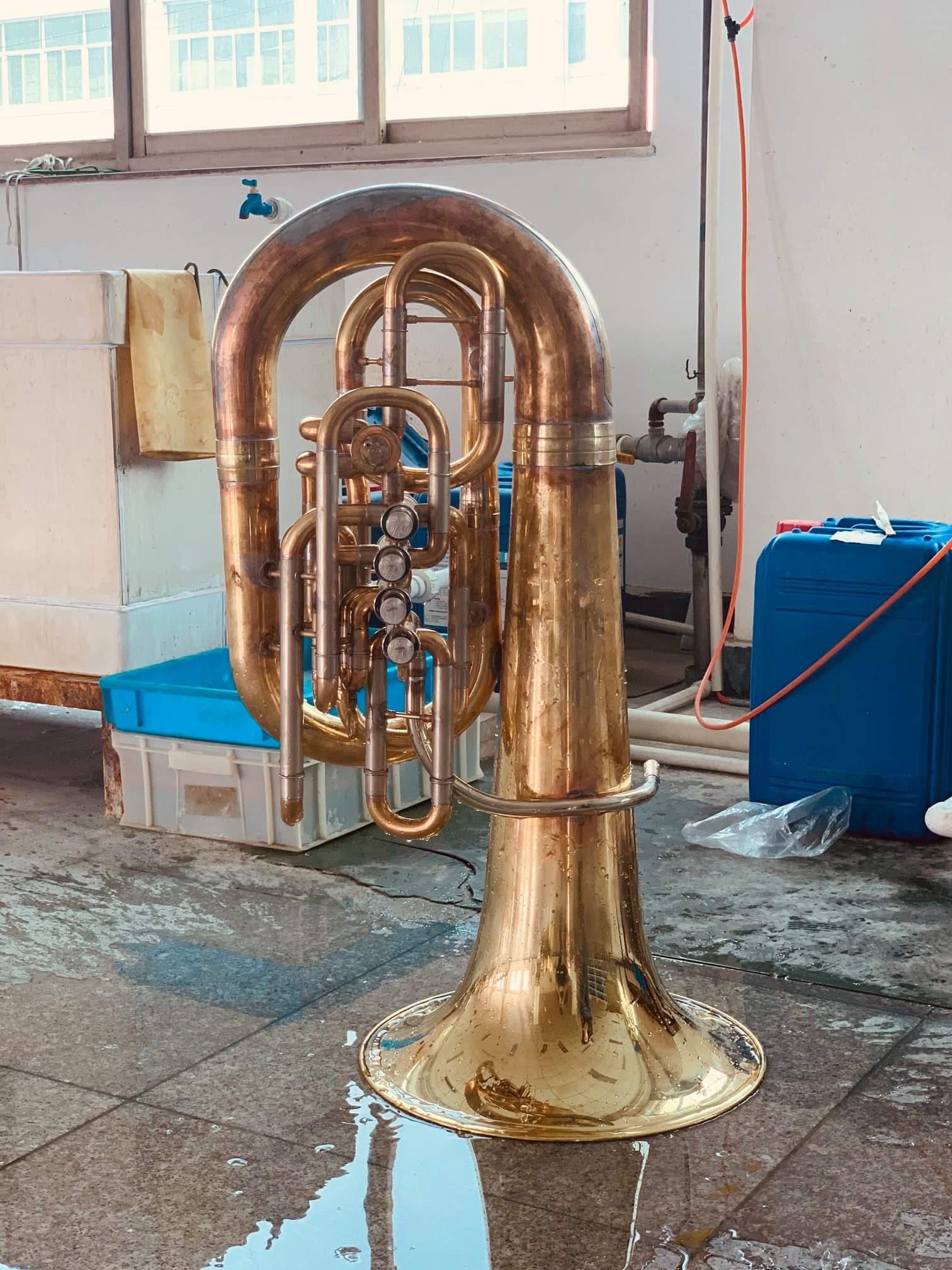 New demo “3/4” F tuba from Wessex. Thoughts? r/Tuba