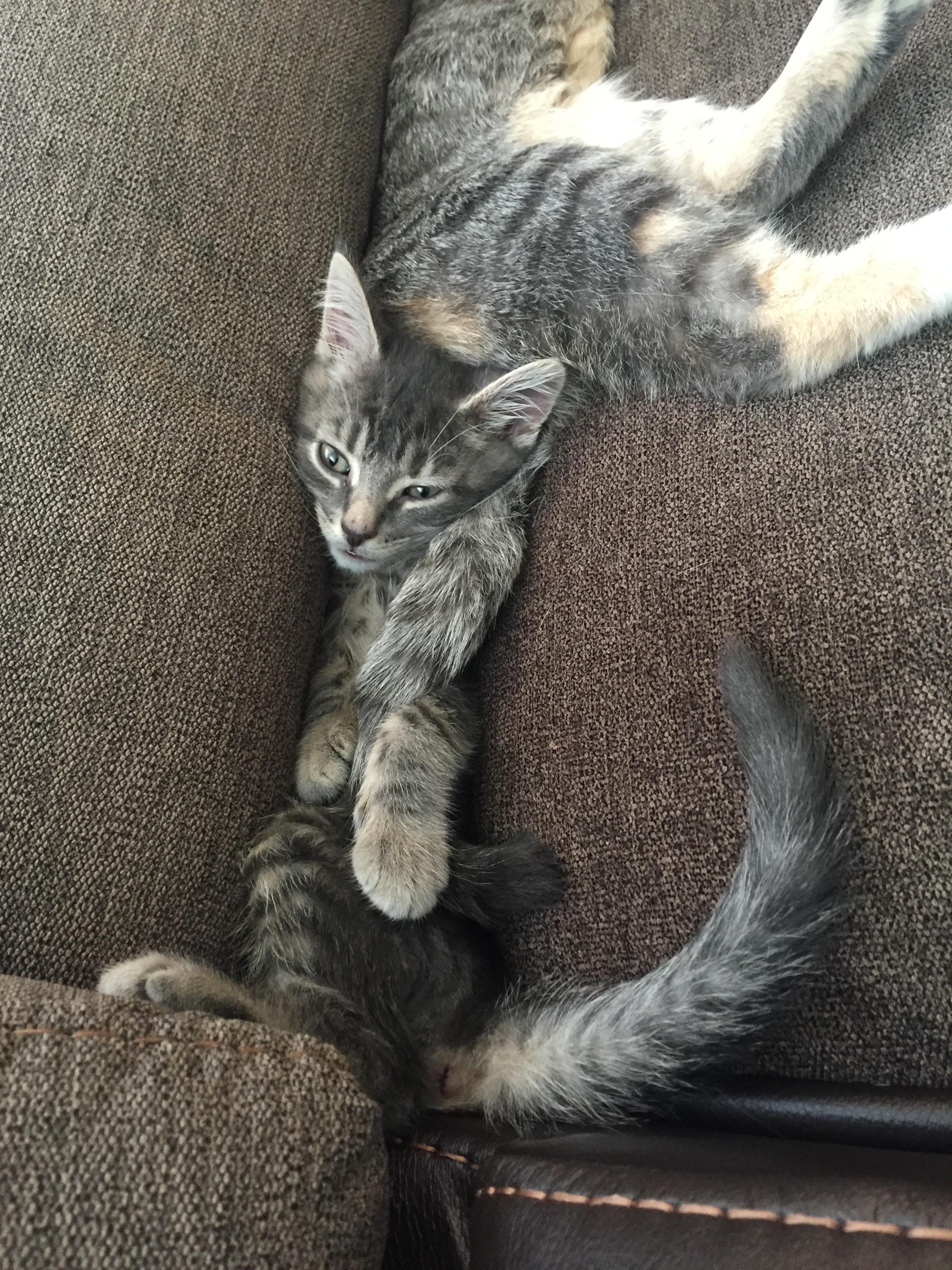 La Z Boy Partner Portal