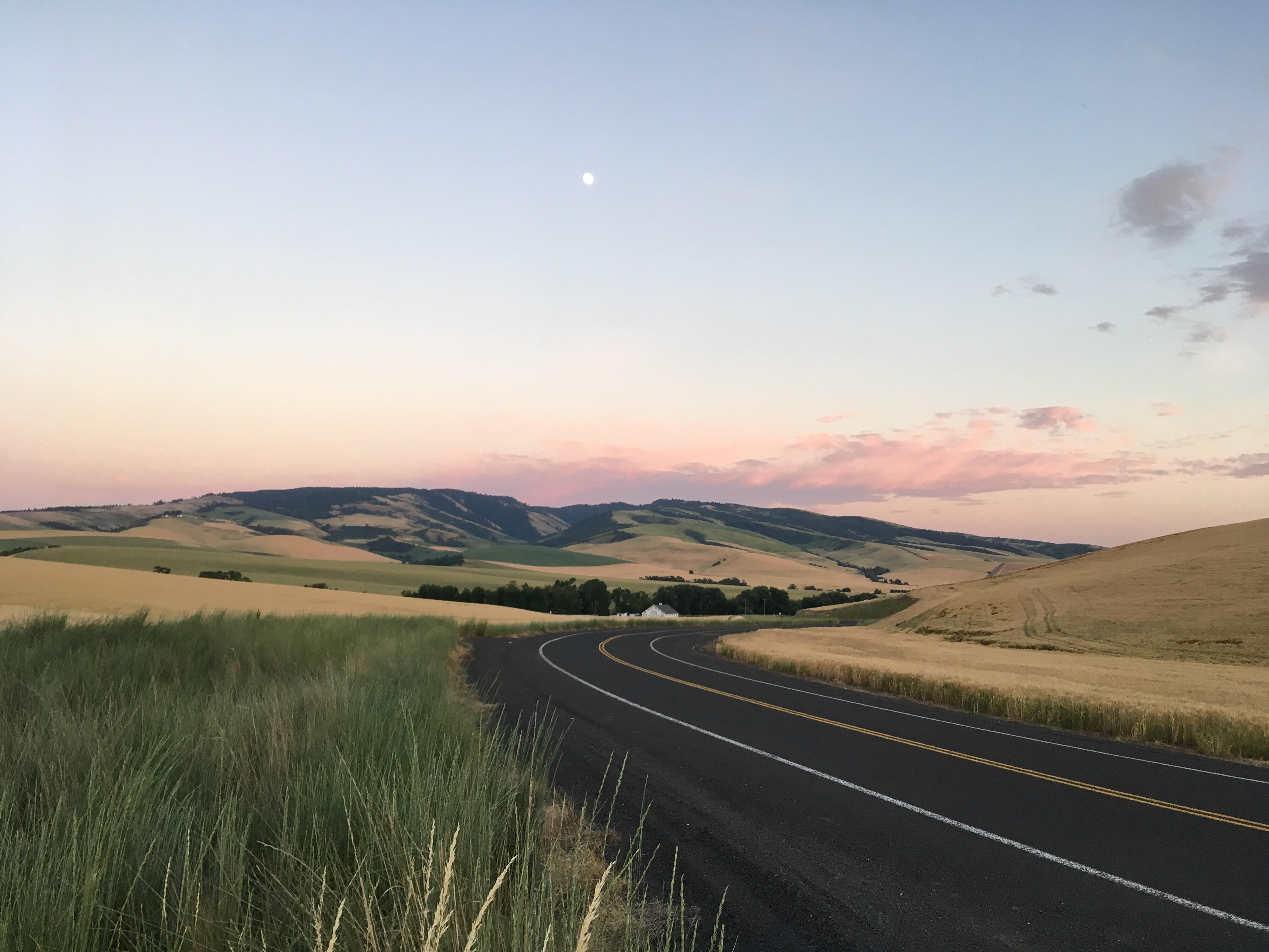 In the blue mountains near Walla Walla, Wa r/pics