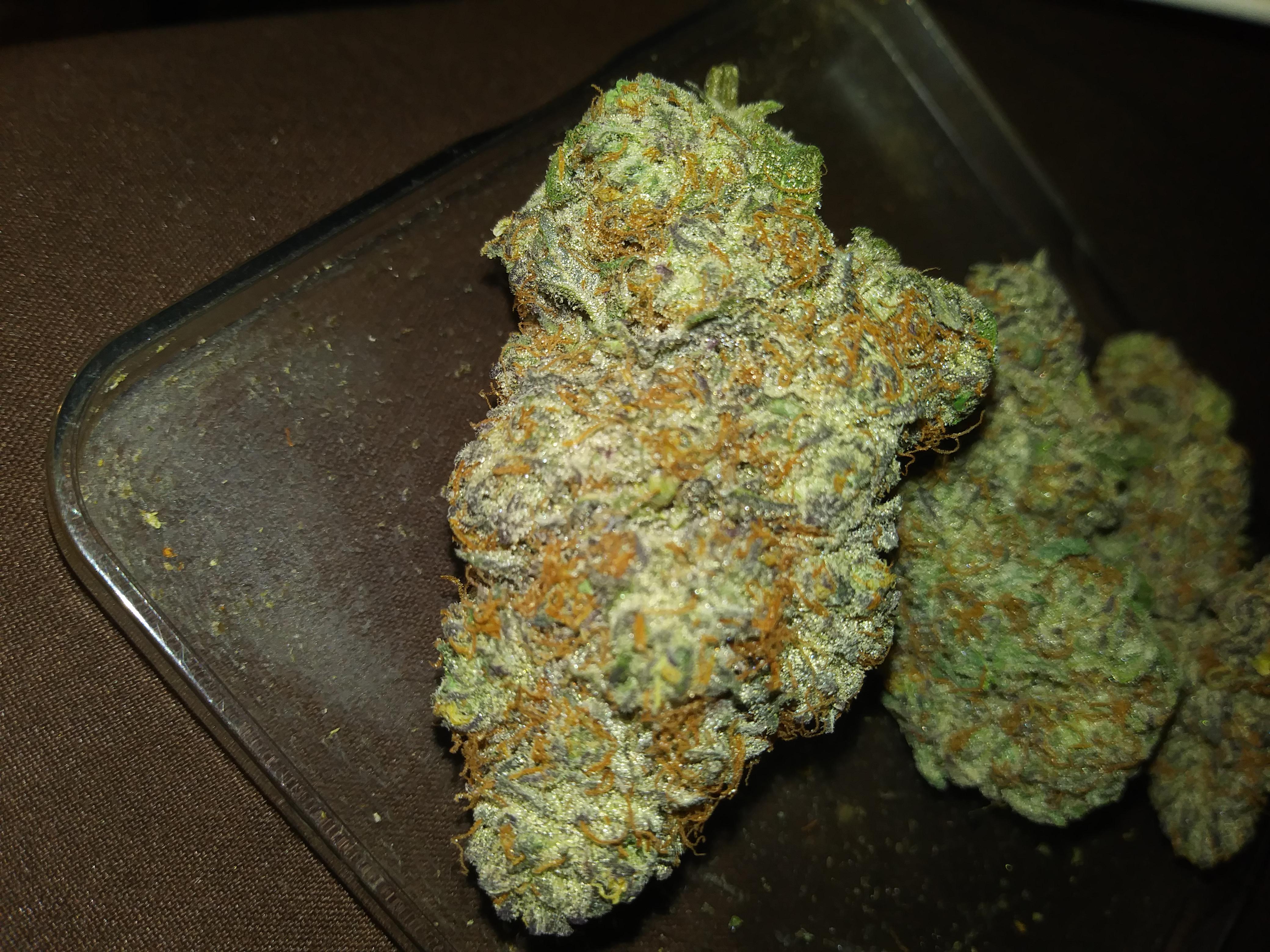 Ice Cream Cake from Maine r/bostontrees